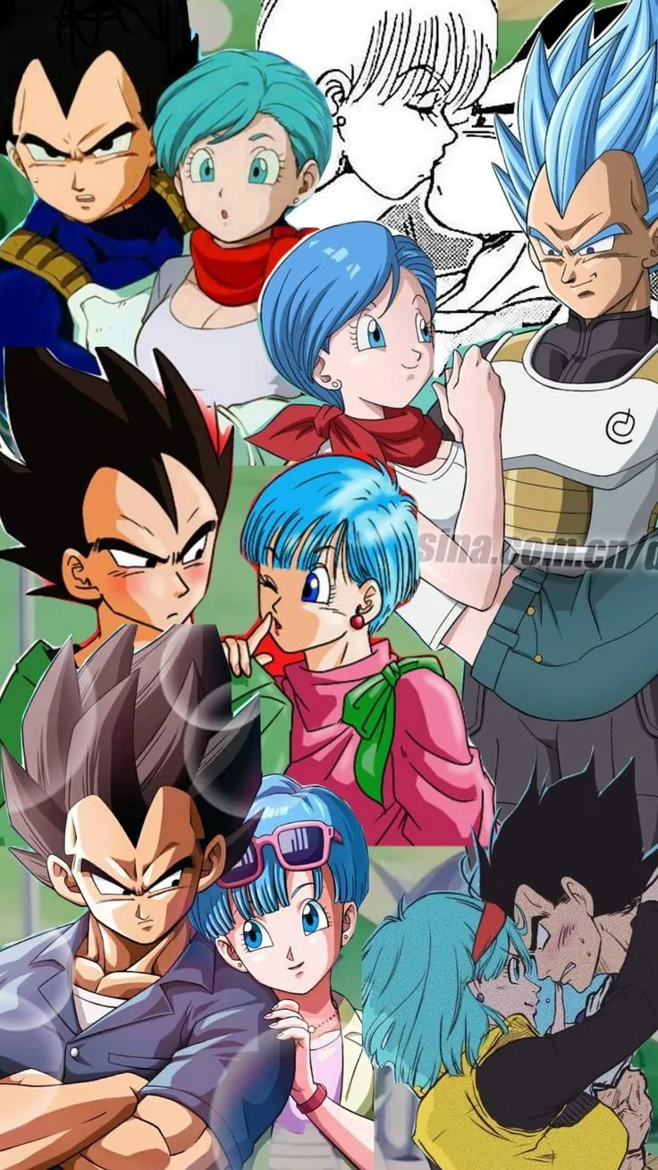 Bulma and Vegeta. #dragonballz #dragonball