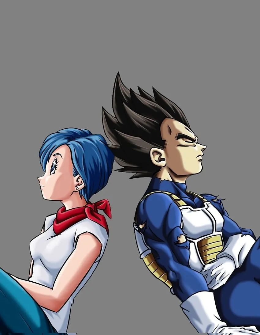 Bulma and vegeta, anime, dragon ball, minimal, iphone 5, iphone 5s, iphone 5c, ipod touch, , background, 6488, Bulma iPhone HD phone wallpaper