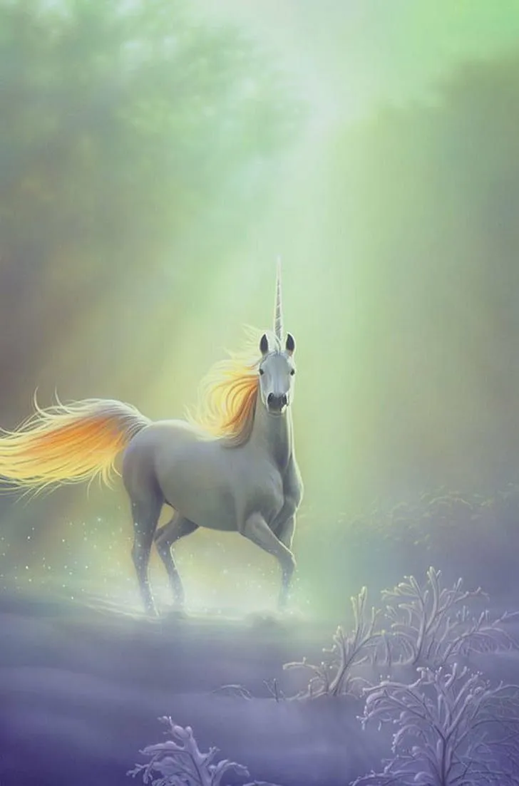 HD wallpaper: fantasy, horse, pegasus, unicorn