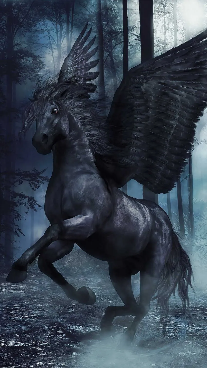 Pegaso N***o, horse, wings, black, animal, pegasus HD phone wallpaper