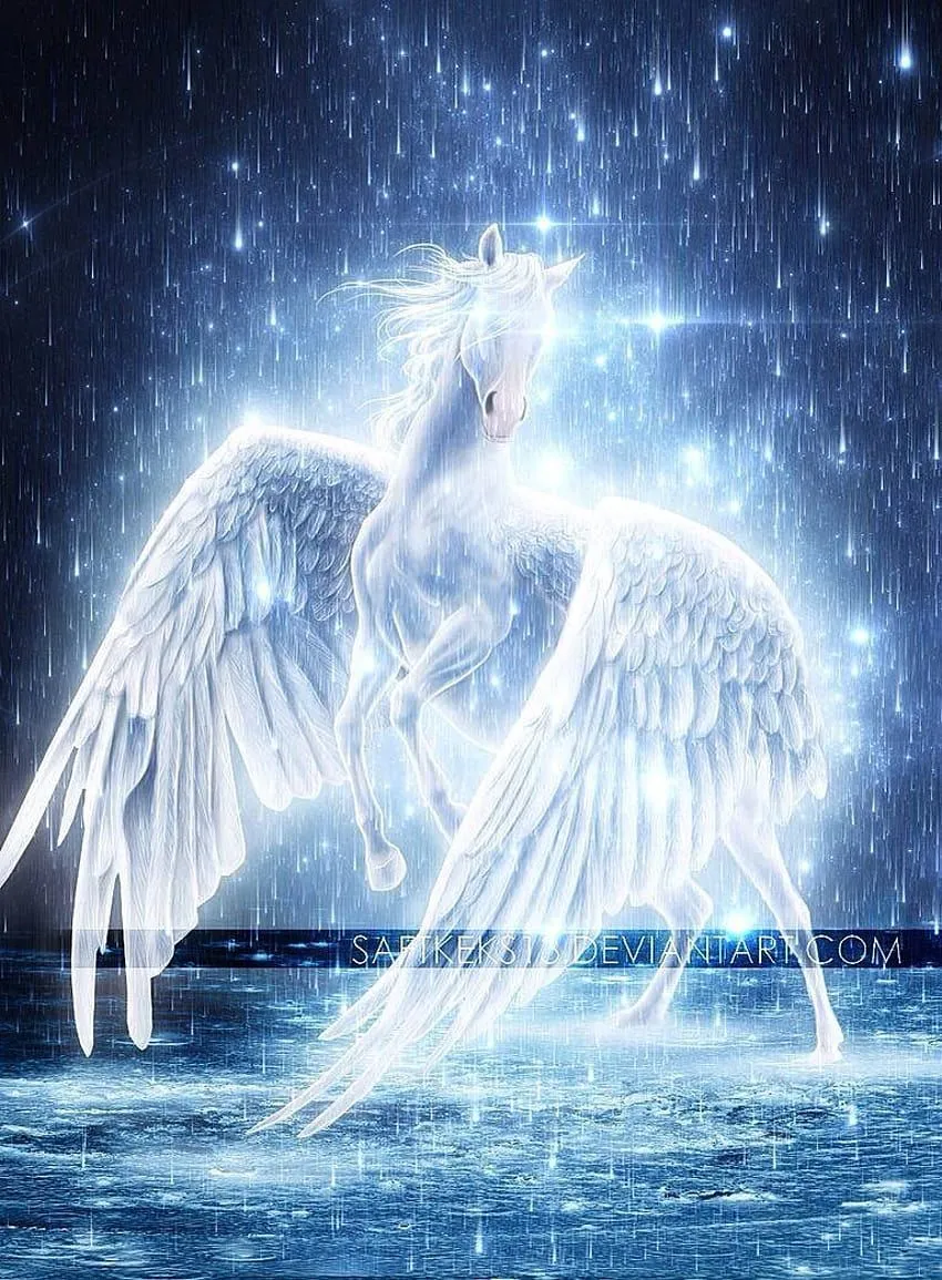 Pegasus love HD wallpaper