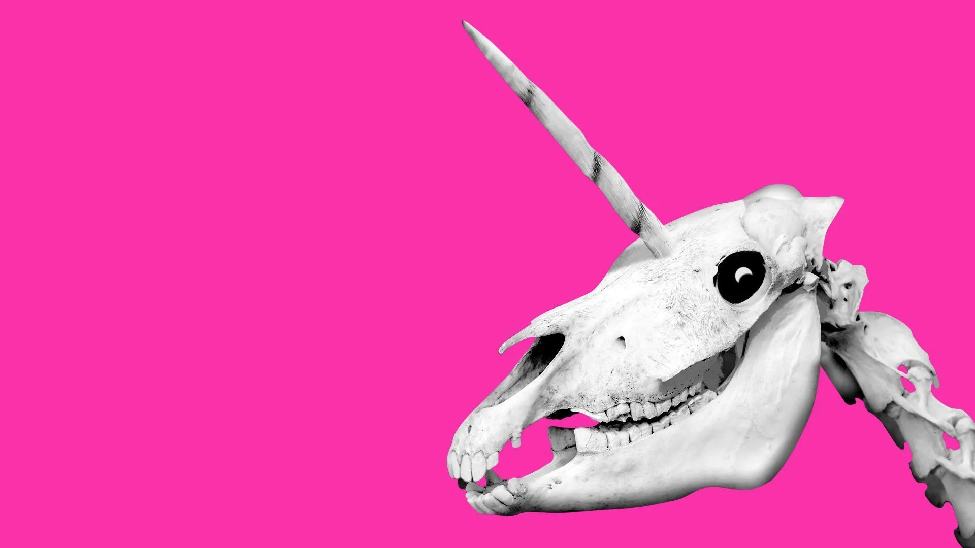 Many unicorn startups could become zombies