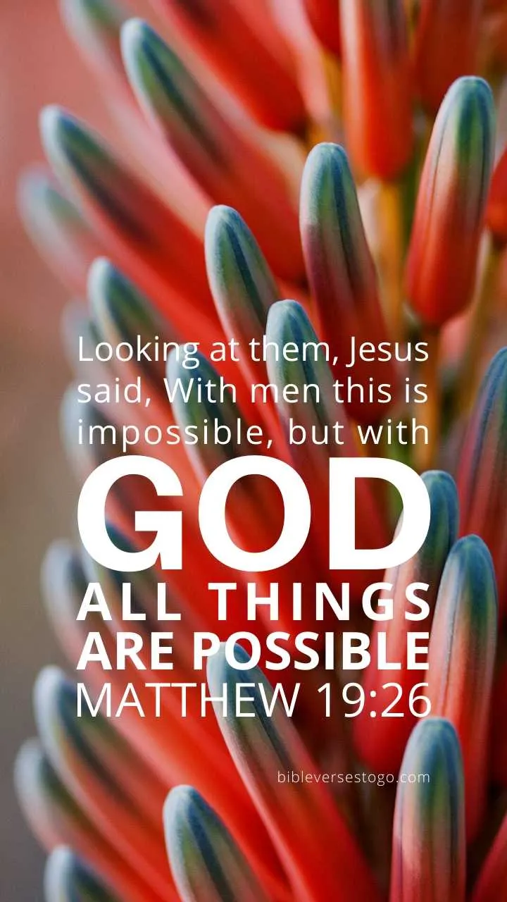 Blooms Matthew 19:26