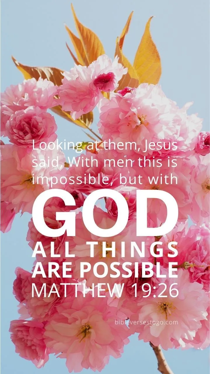 Cherry Blossoms Matthew 19:26