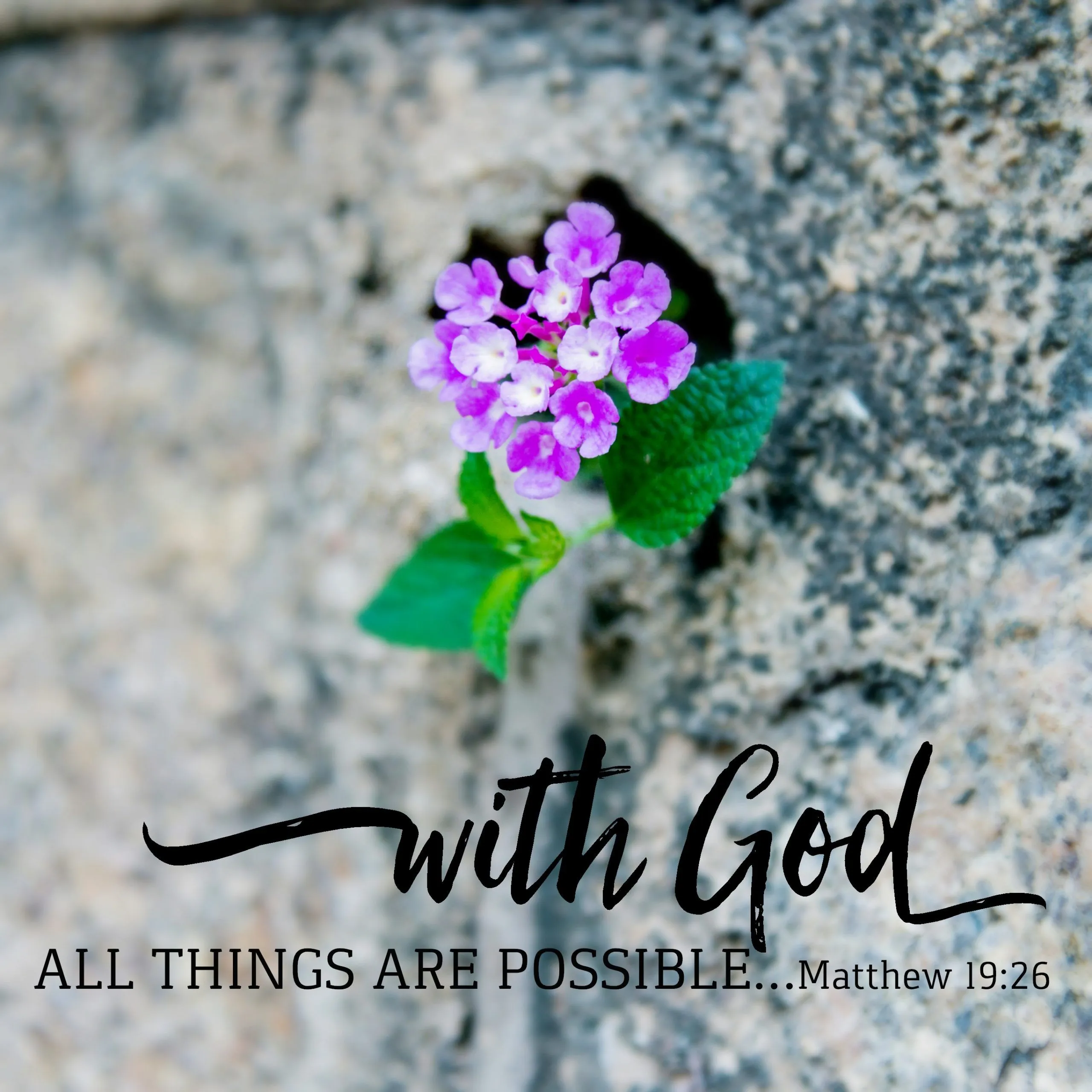 Matthew 19:26