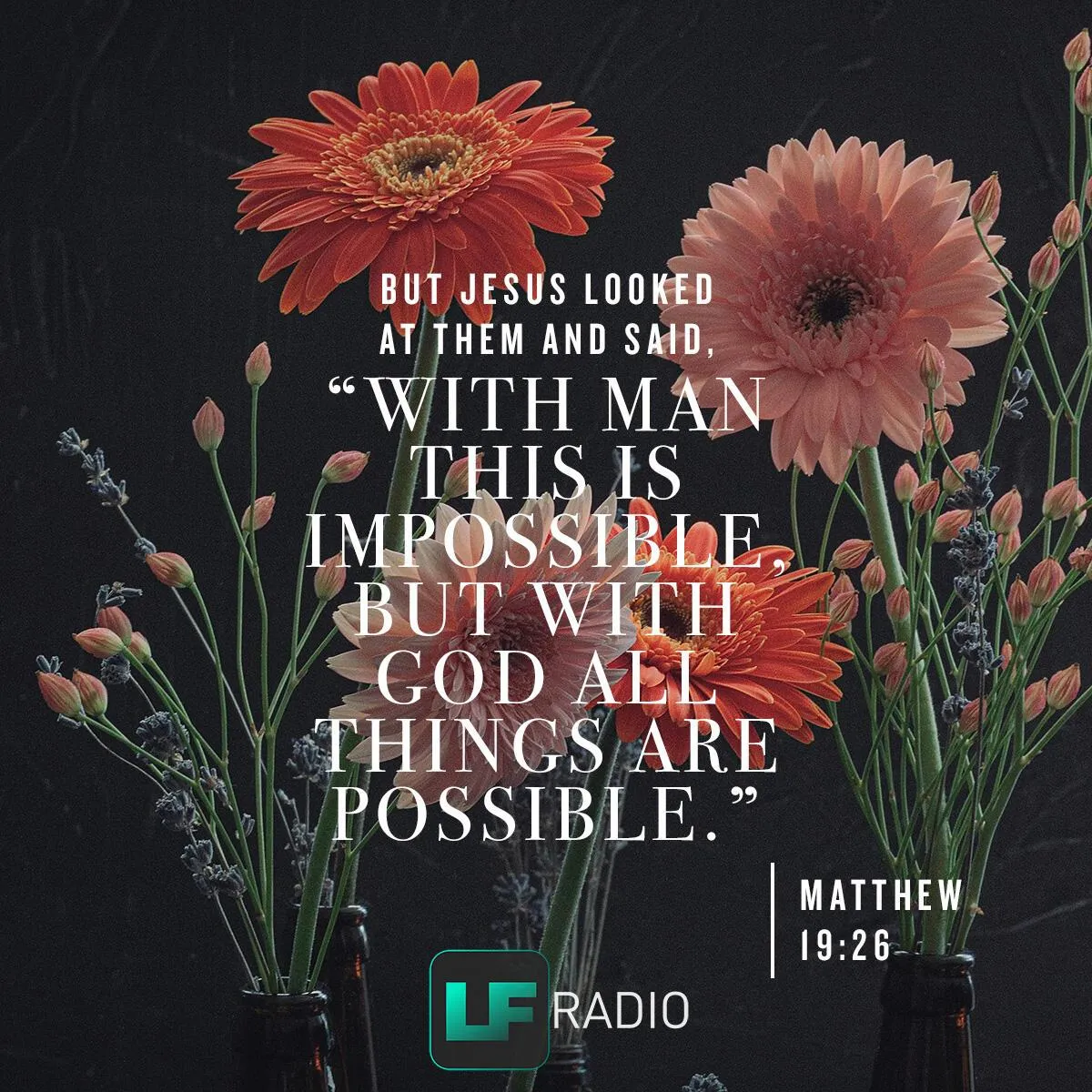 Verse of the Day 19:26