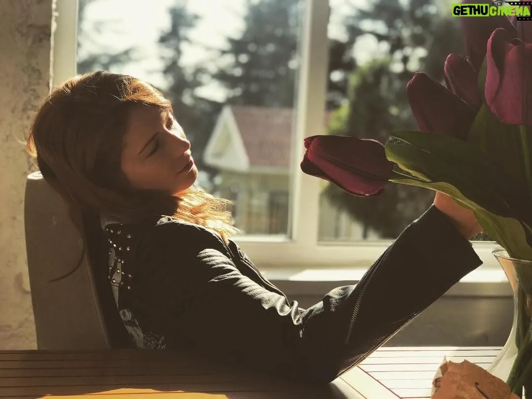 Elena Viunova Wiki, Biography, Age, Photo, Spouse and more