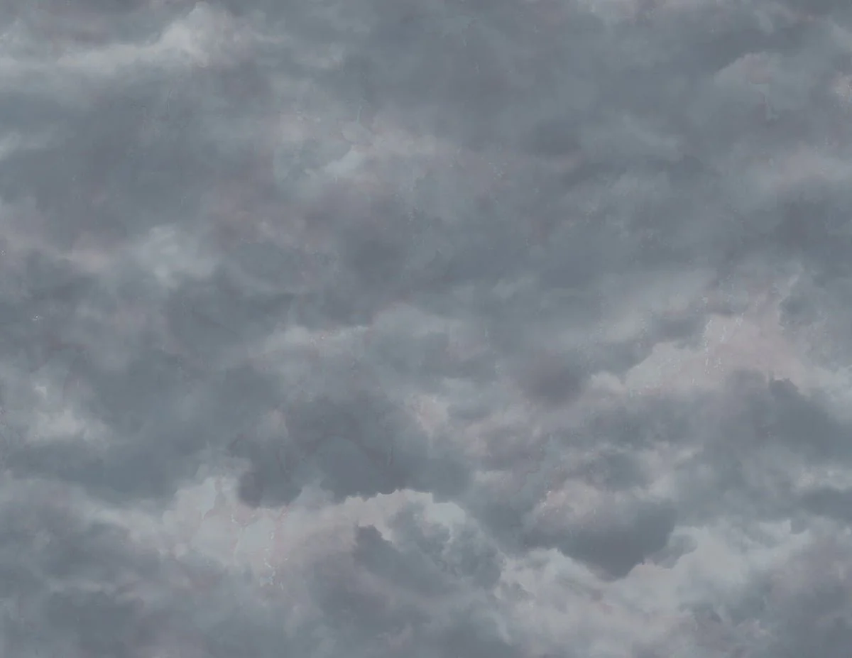 Sky FJ080219