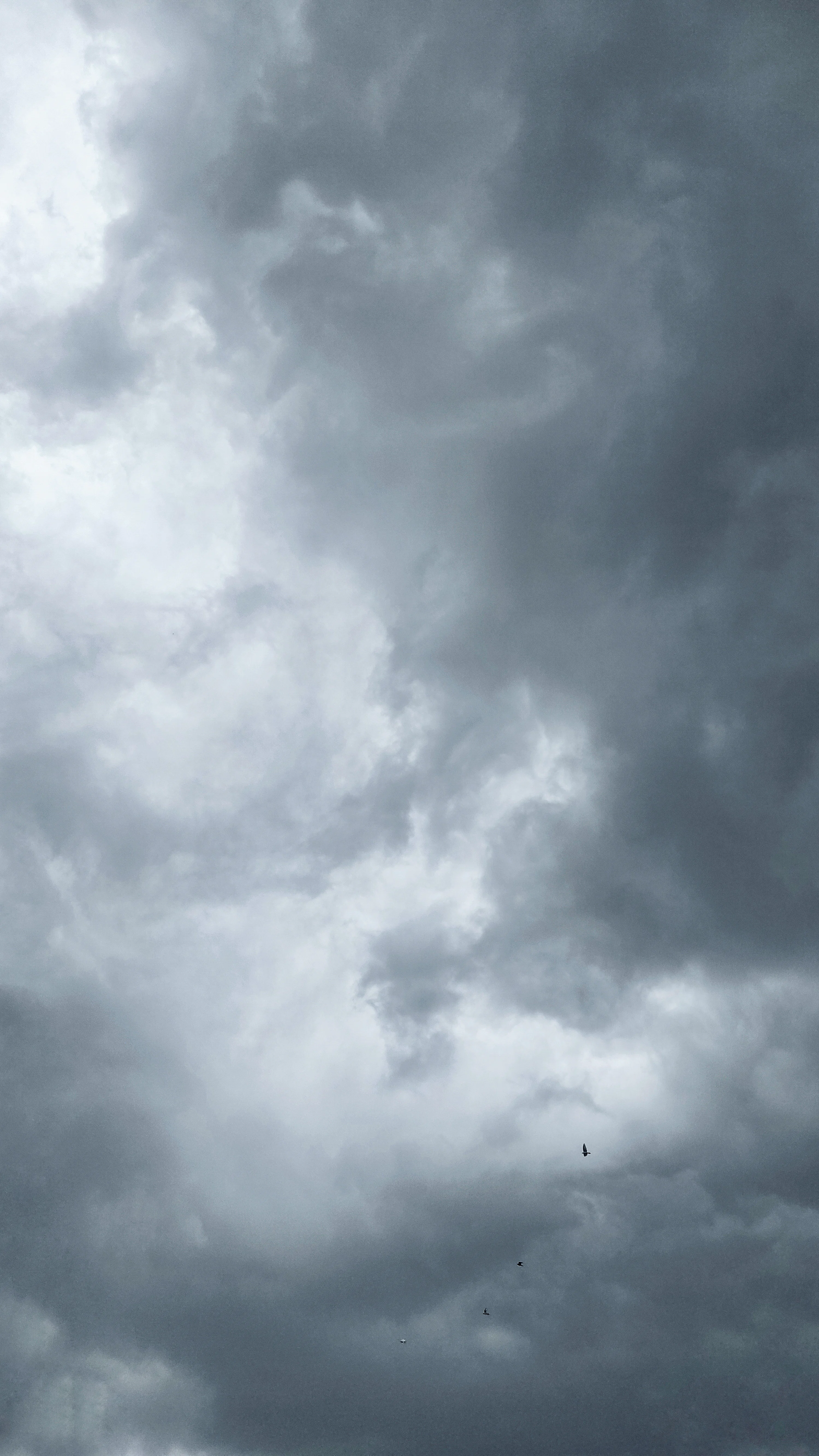 White clouds and blue sky photo