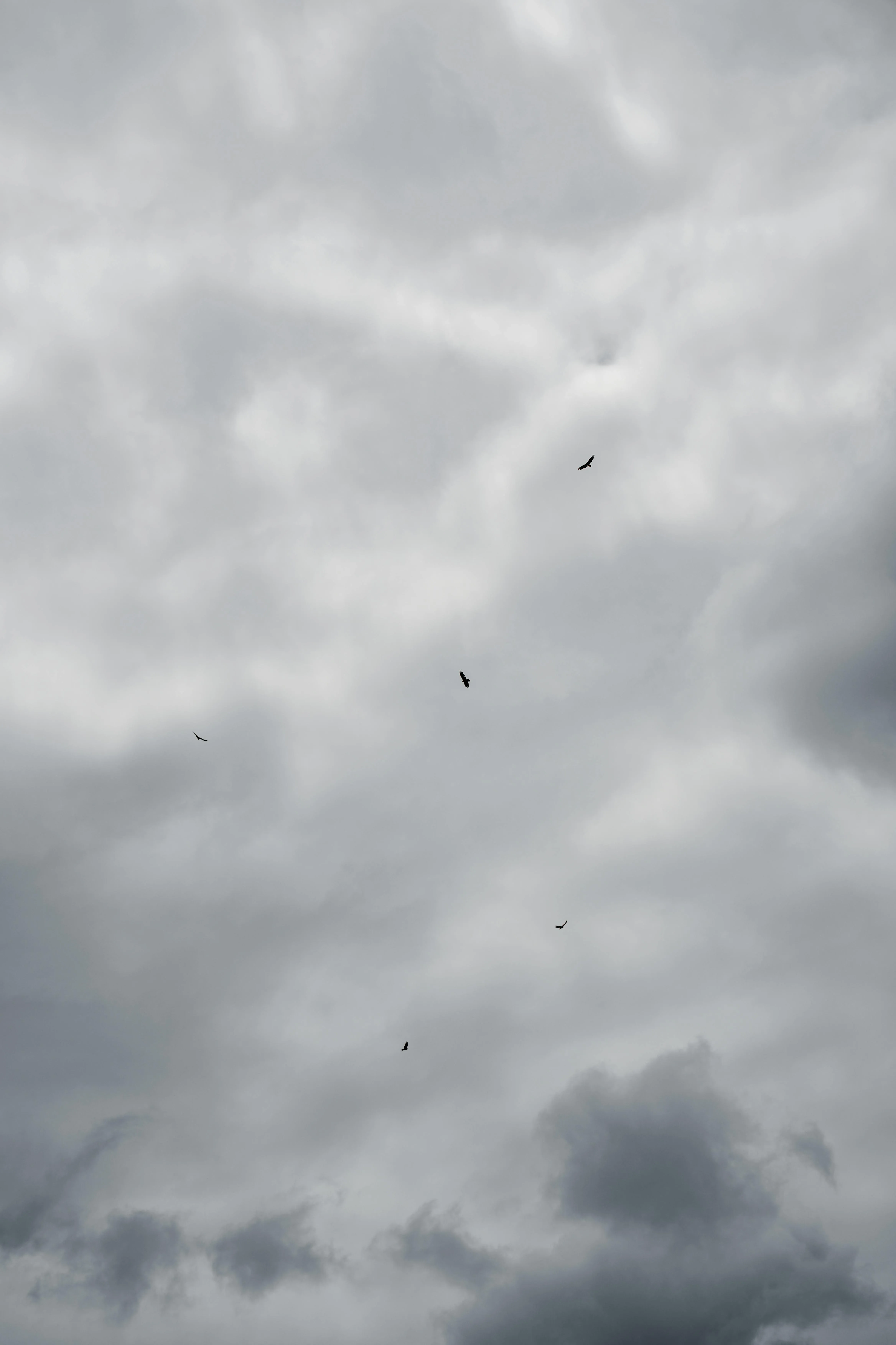 Clouded Grey Sky · Free