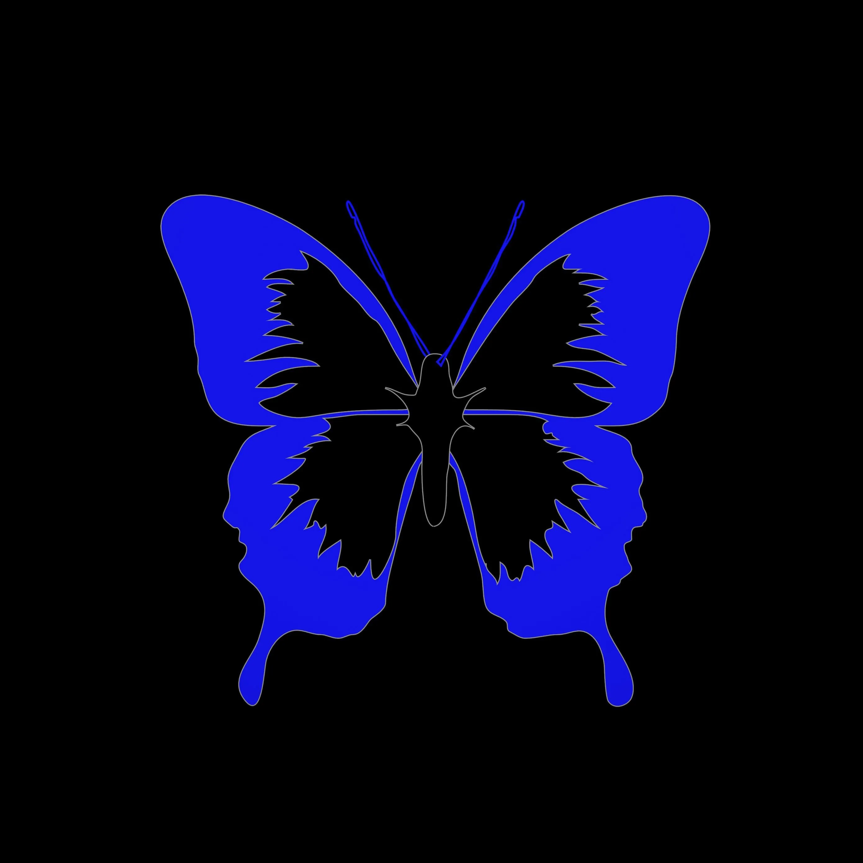 Download wallpaper 2780x2780 butterfly, minimalism, black, blue ipad air, ipad air 2, ipad 3, ipad 4, ipad mini 2, ipad mini 3, ipad mini 4, ipad pro 9.7 for parallax HD background
