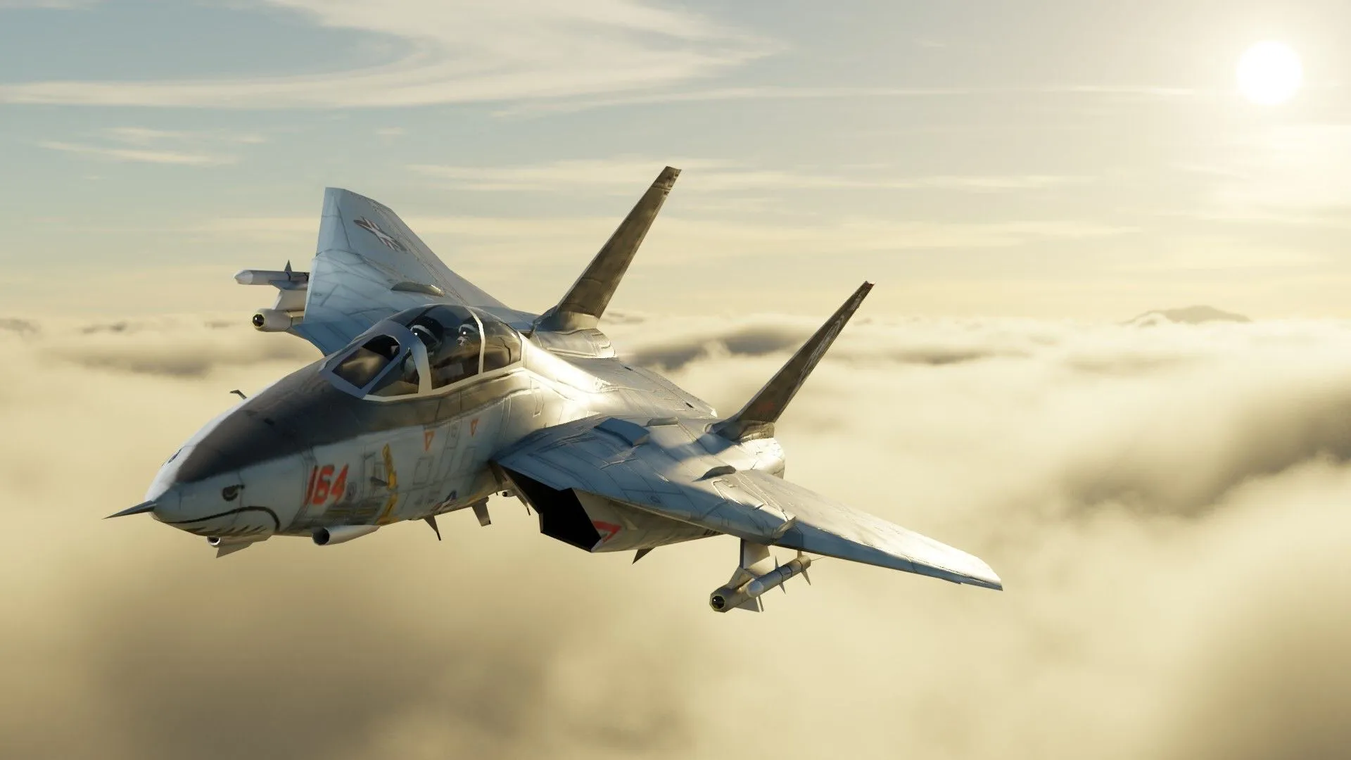 Grumman F 14 Tomcat