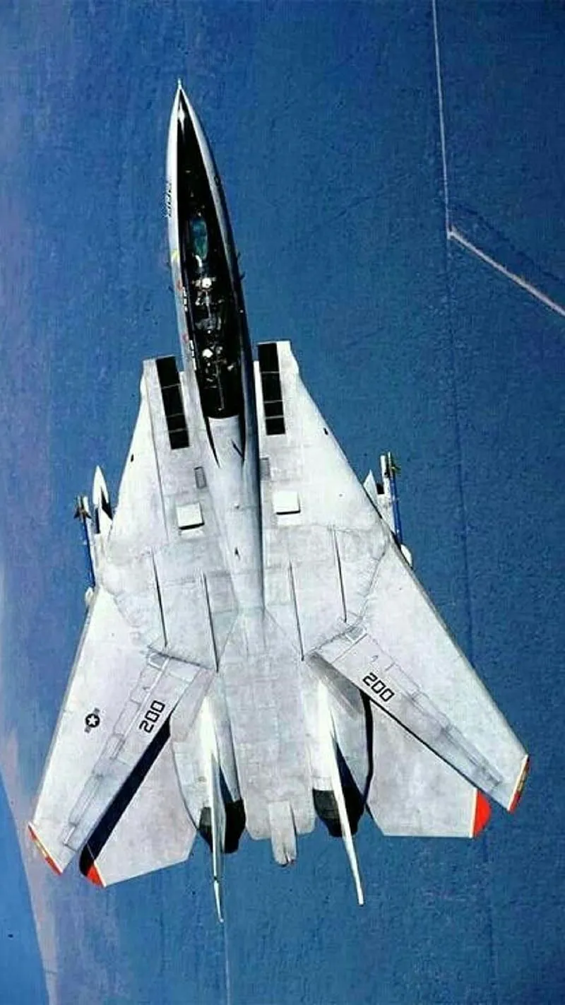 Grumman F 14 Tomcat, Plane, HD Phone Wallpaper