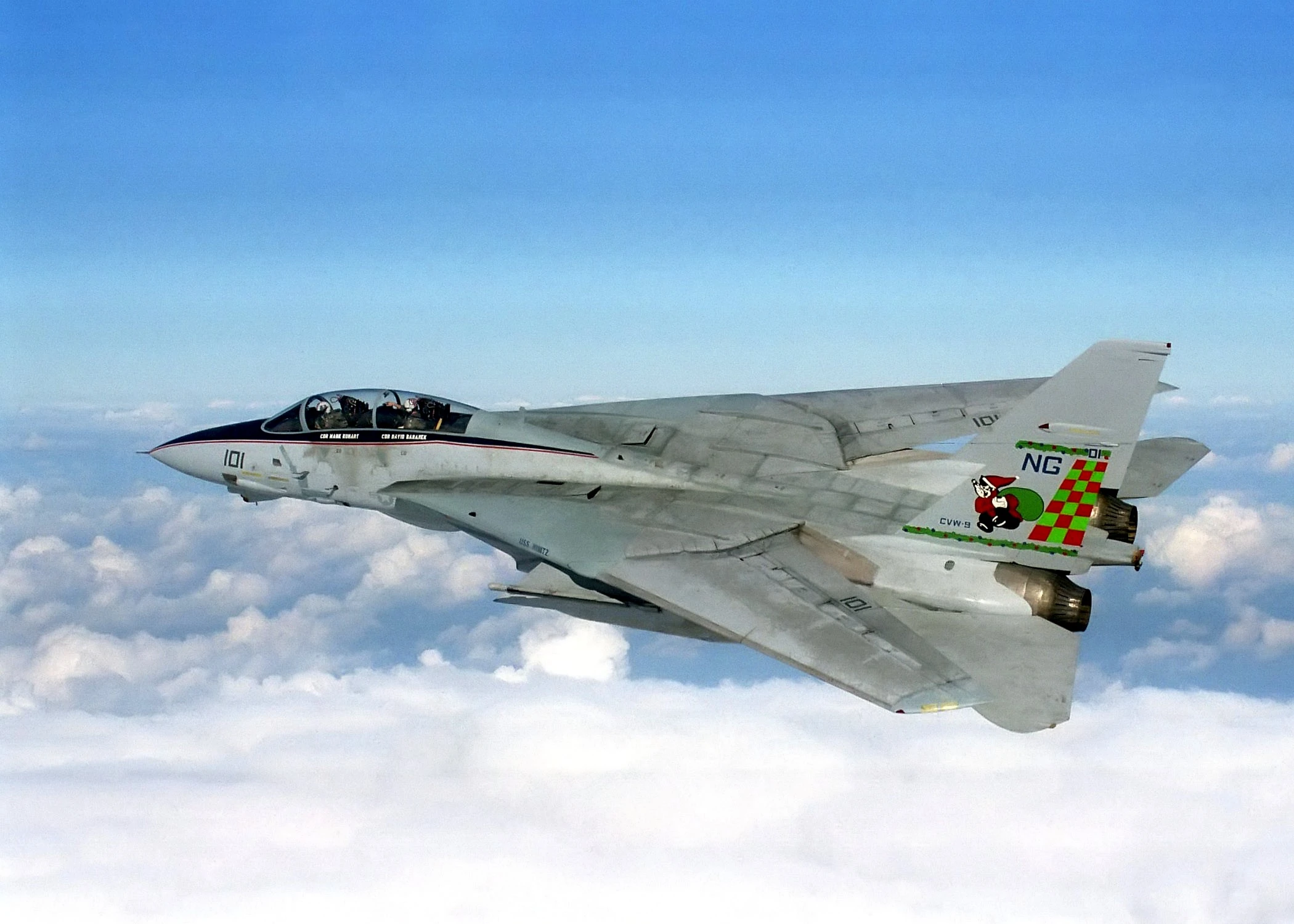 Grumman F 14 Tomcat. Transformers Universe MUX