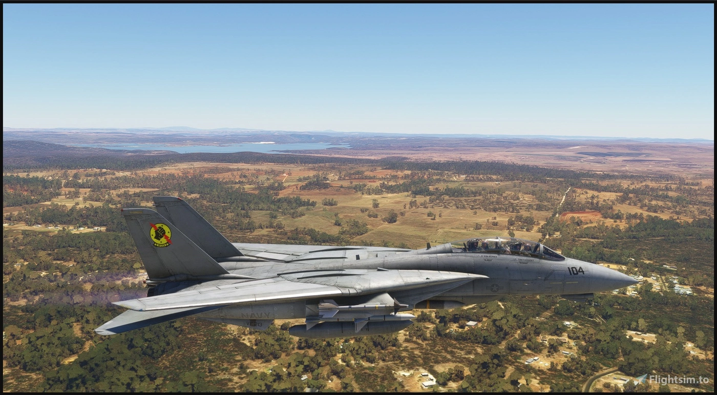Grumman F 14A Tomcat Iceman. VF 213 Pour Microsoft Flight Simulator