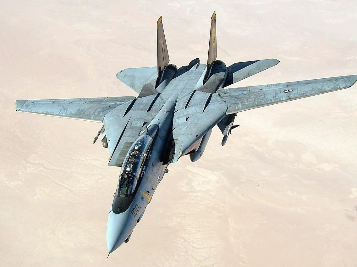 Grumman F 14 Tomcat