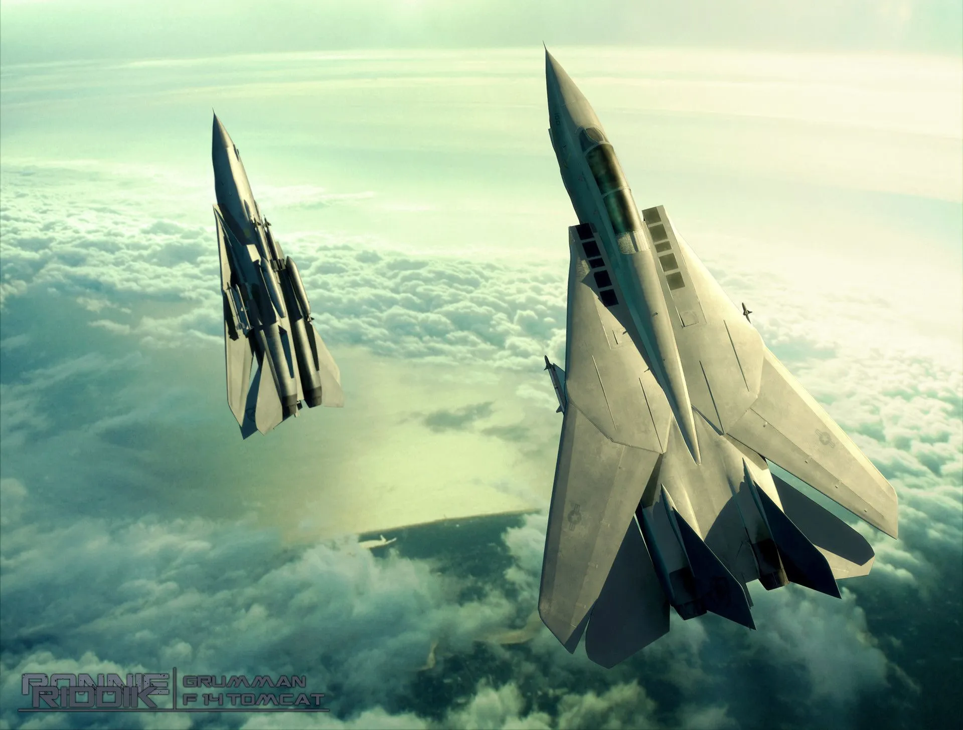 Ronnie Riddik F 14 Tomcat Beauty Renders