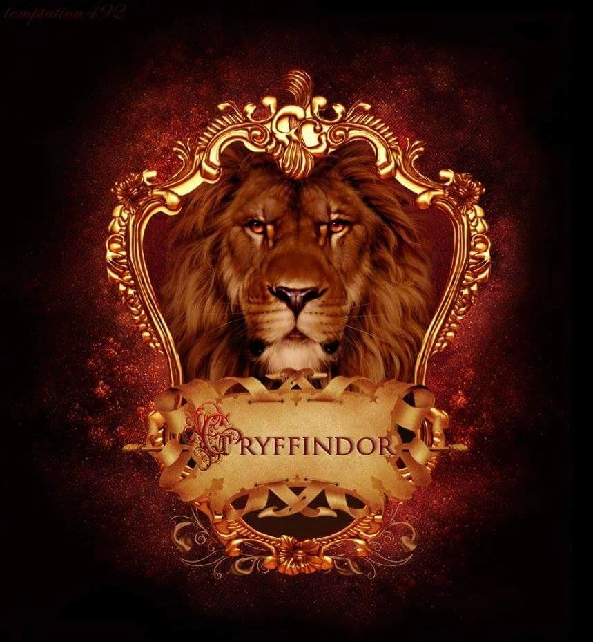Gryffindor. Florielsand School of Witchcraft and Wizardry