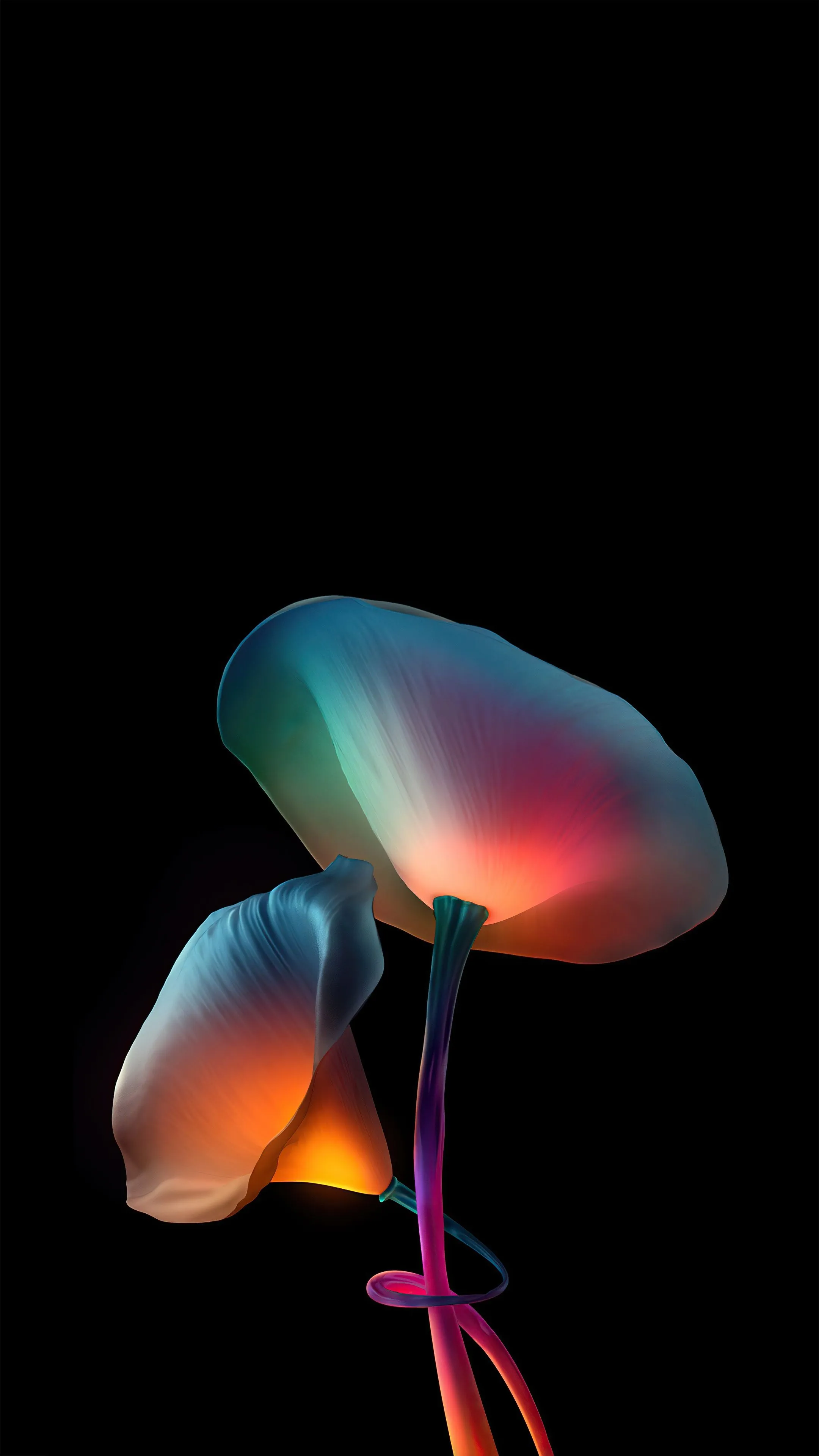 Oled HD wallpaper