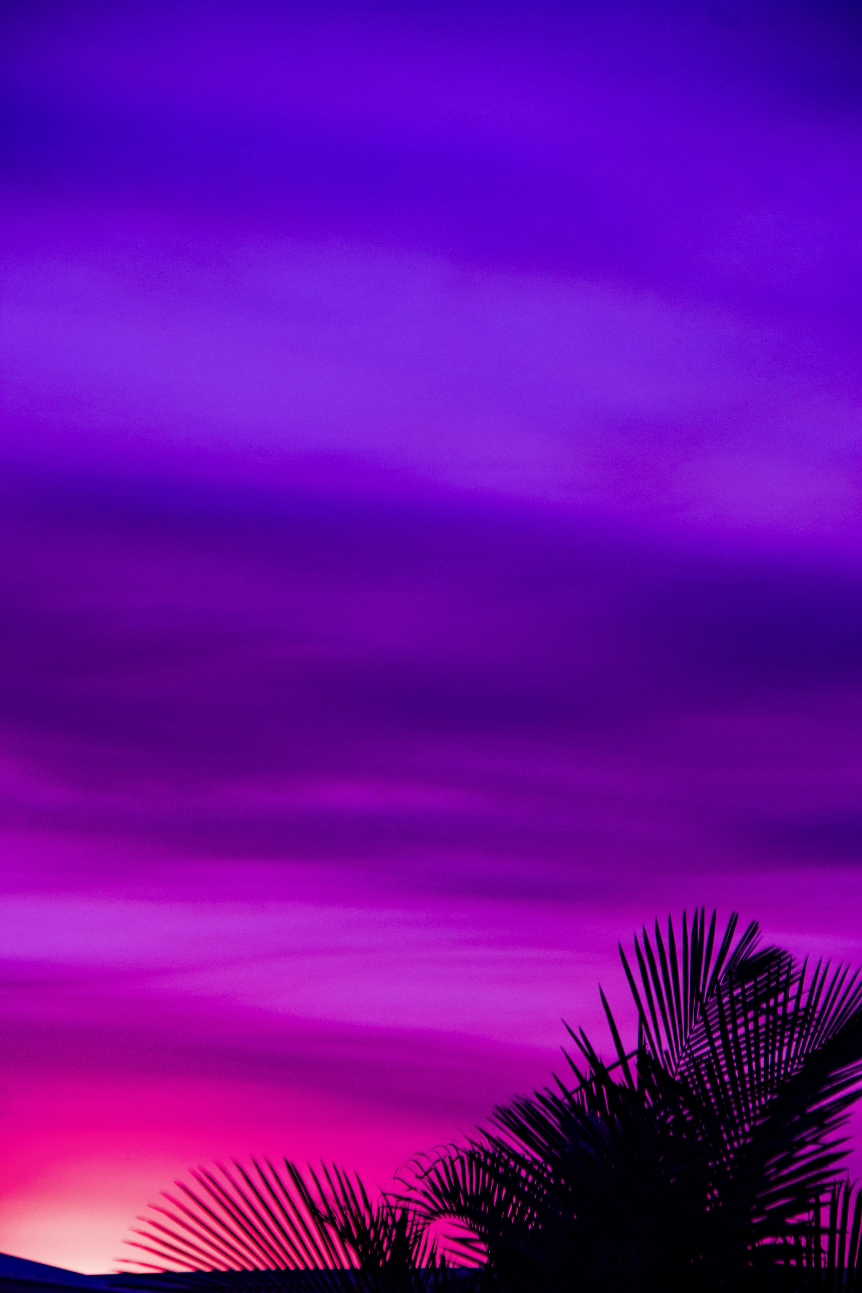 Purple Wallpaper Picture Creators