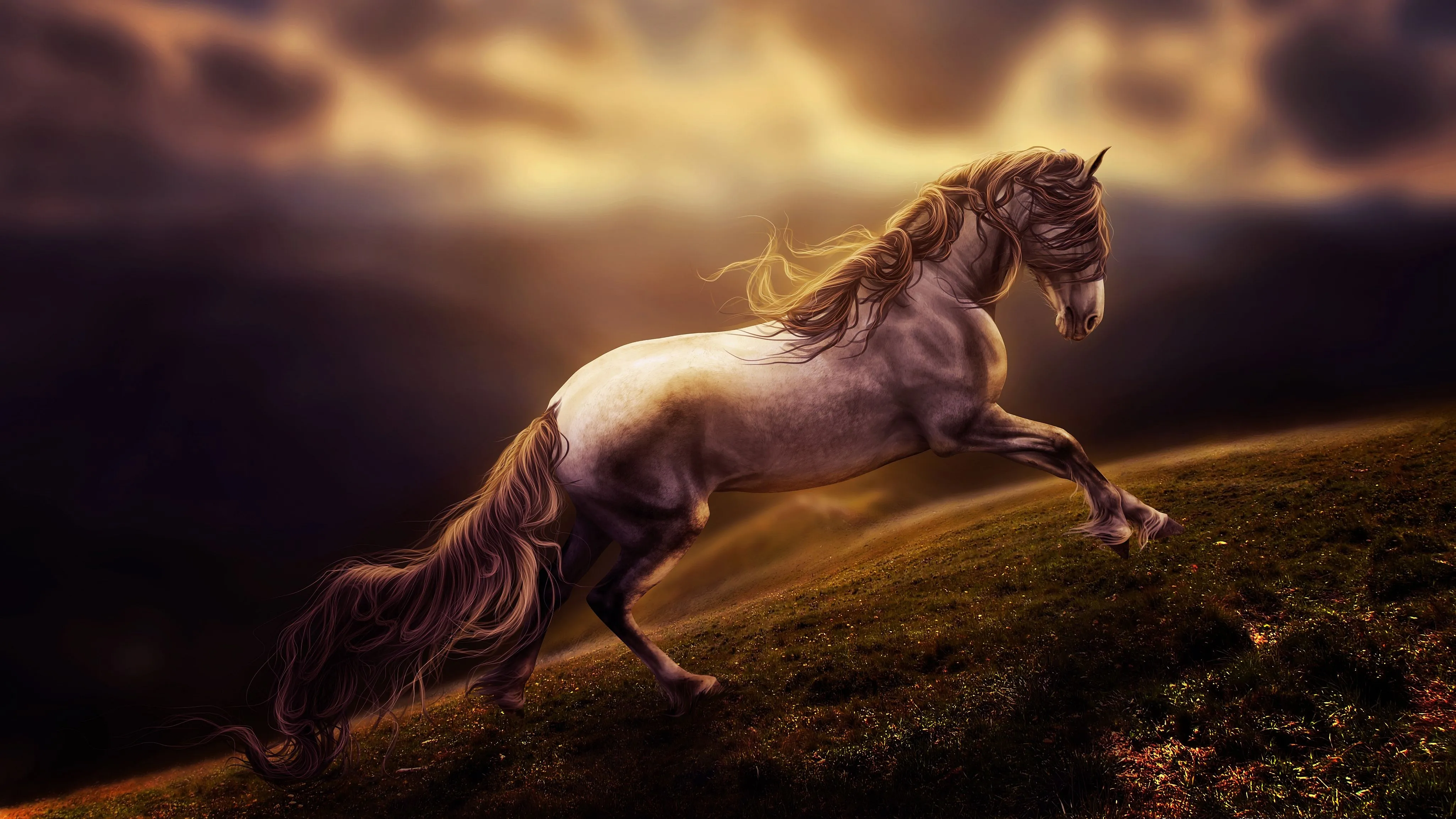 Desktop wallpaper: Animal, Horse 4K free download for PC. 632805