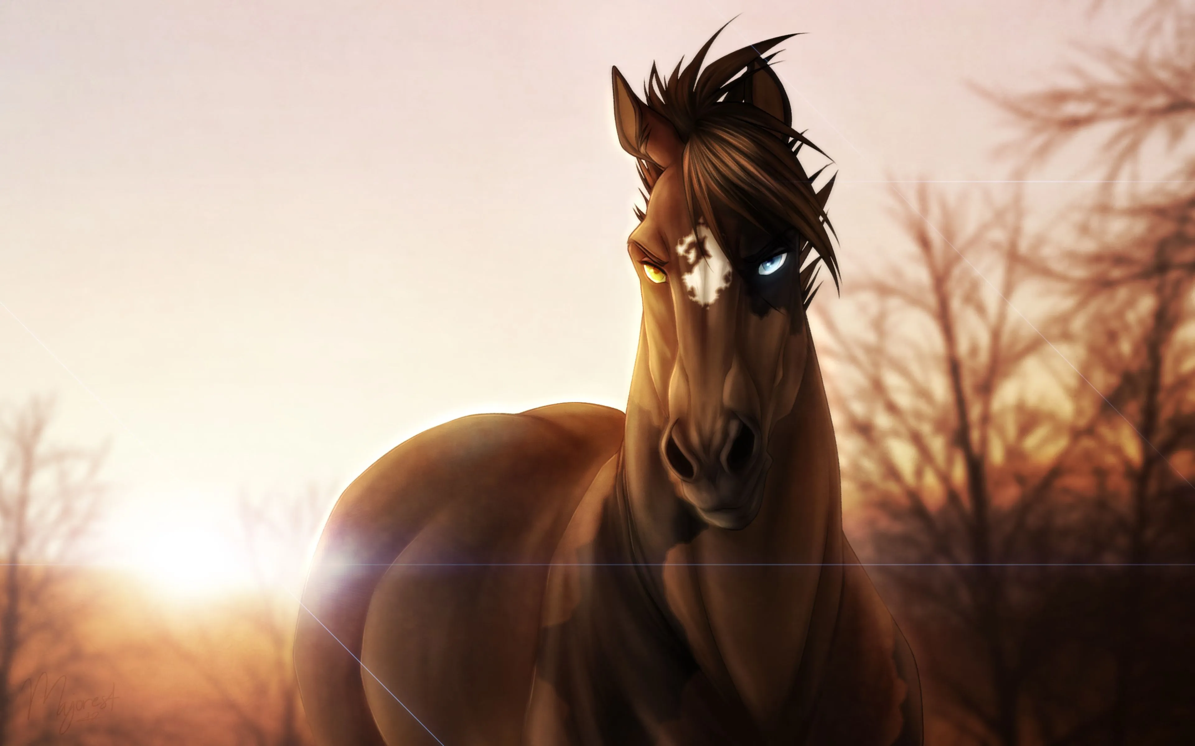 Horse with intense stare Wallpaper 4k for Desktop