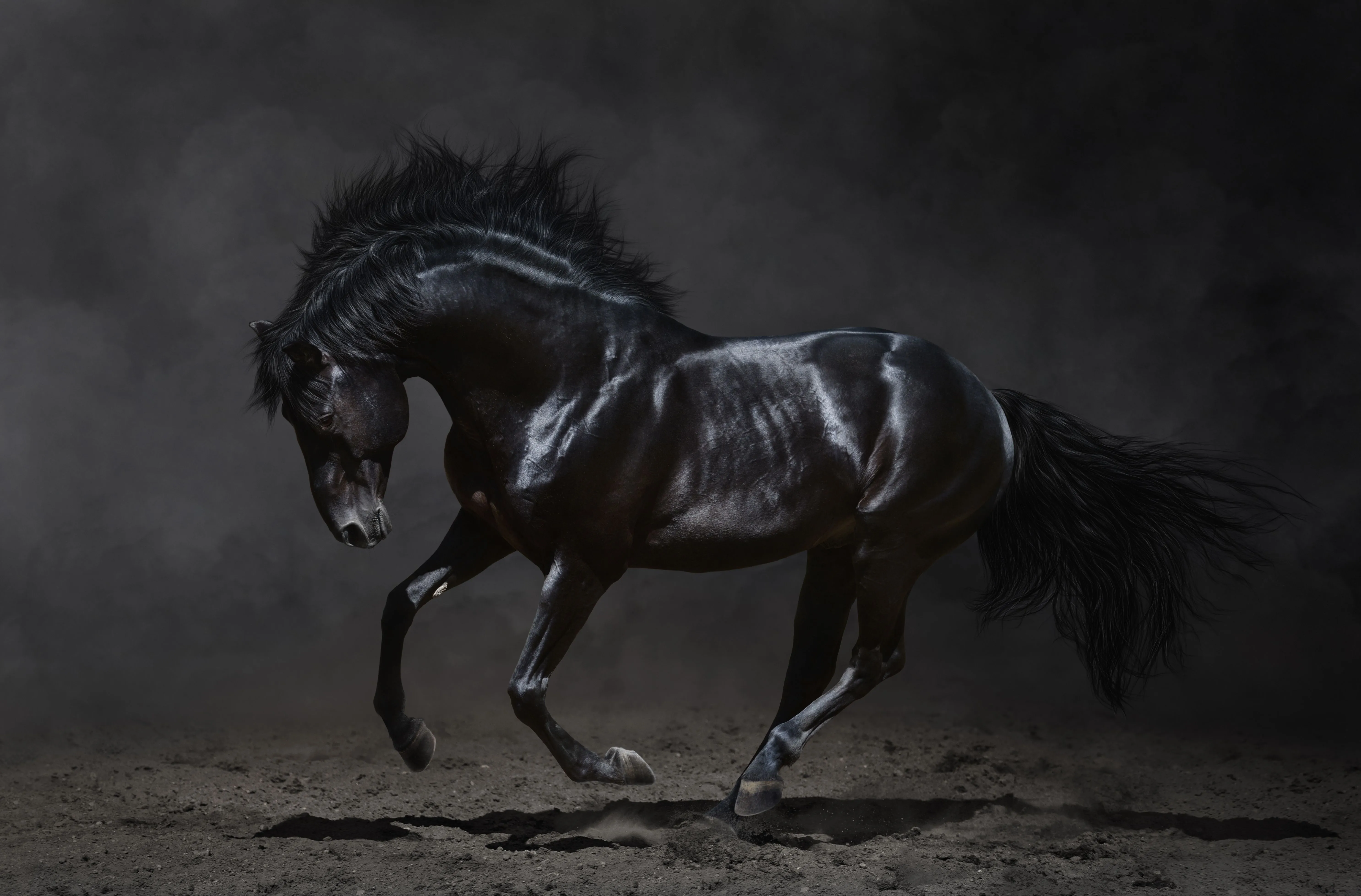 Majestic Horse in 4K Ultra HD Wallpaper