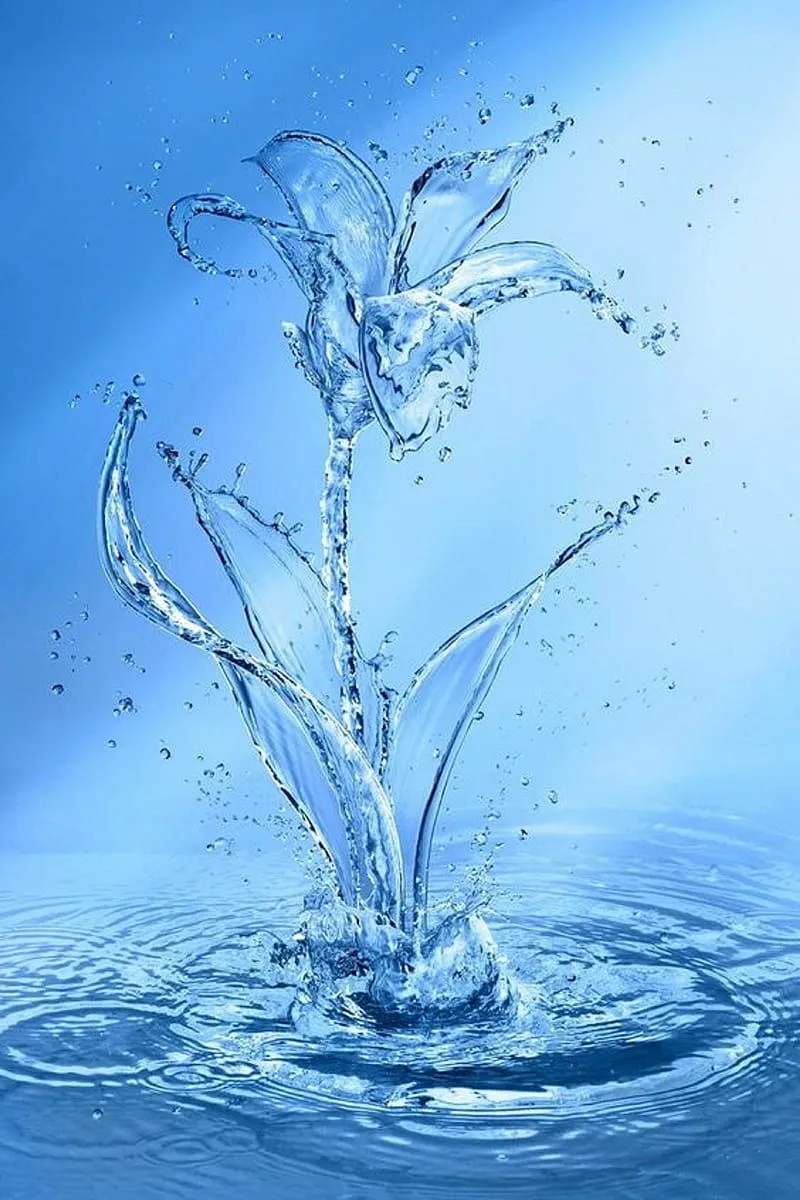 Water flower, HD phone wallpaper