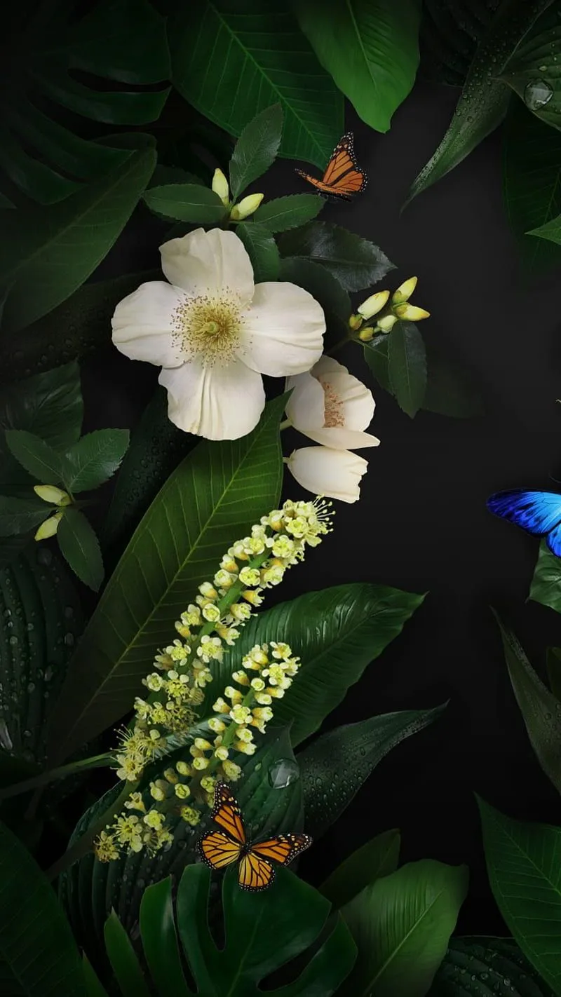 Huawei, butterfly, flower, flowers iphone, leaves, lotus, nature, samsung, HD phone wallpaper