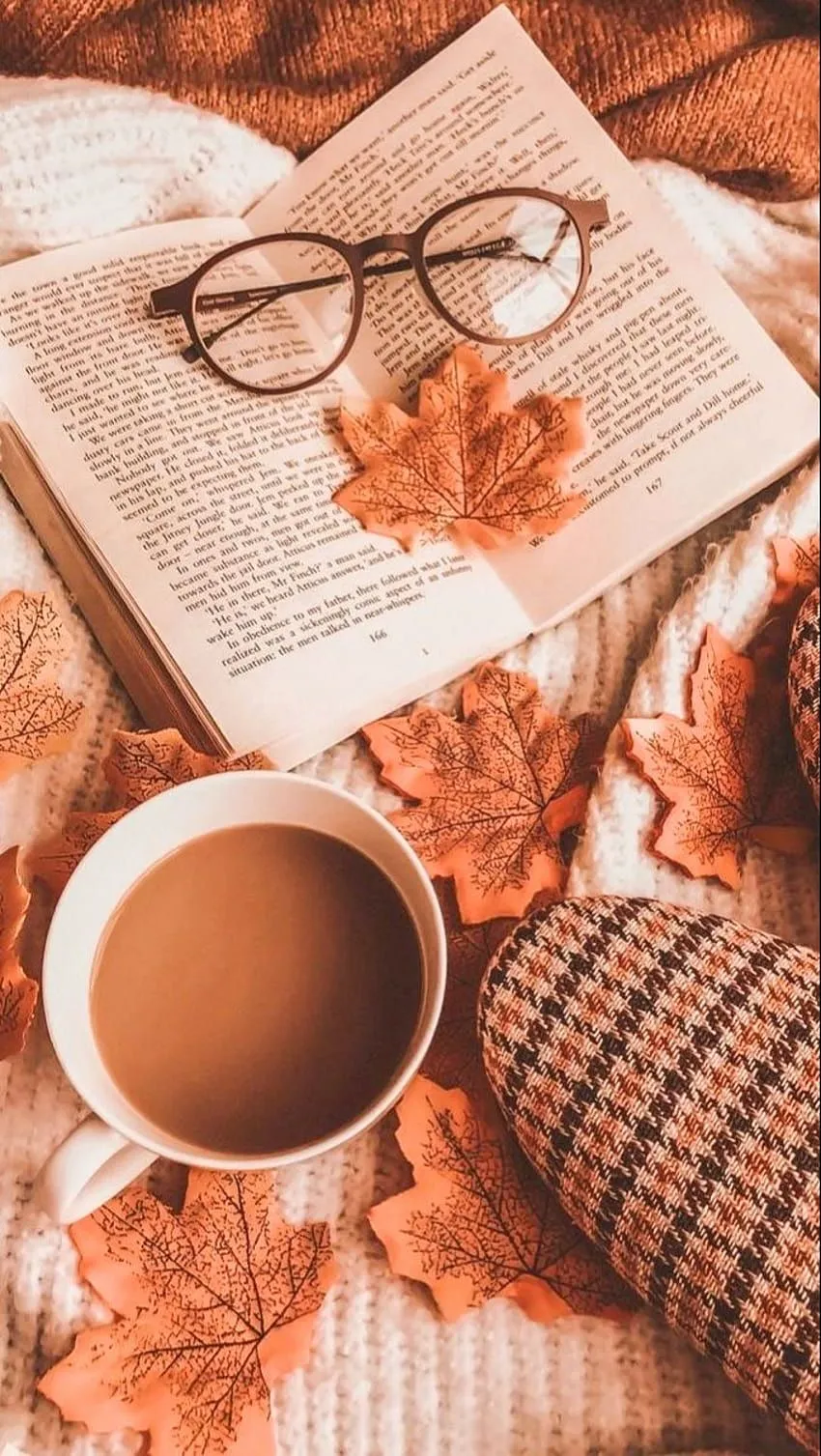 Autumn study aesthetic HD phone wallpaper
