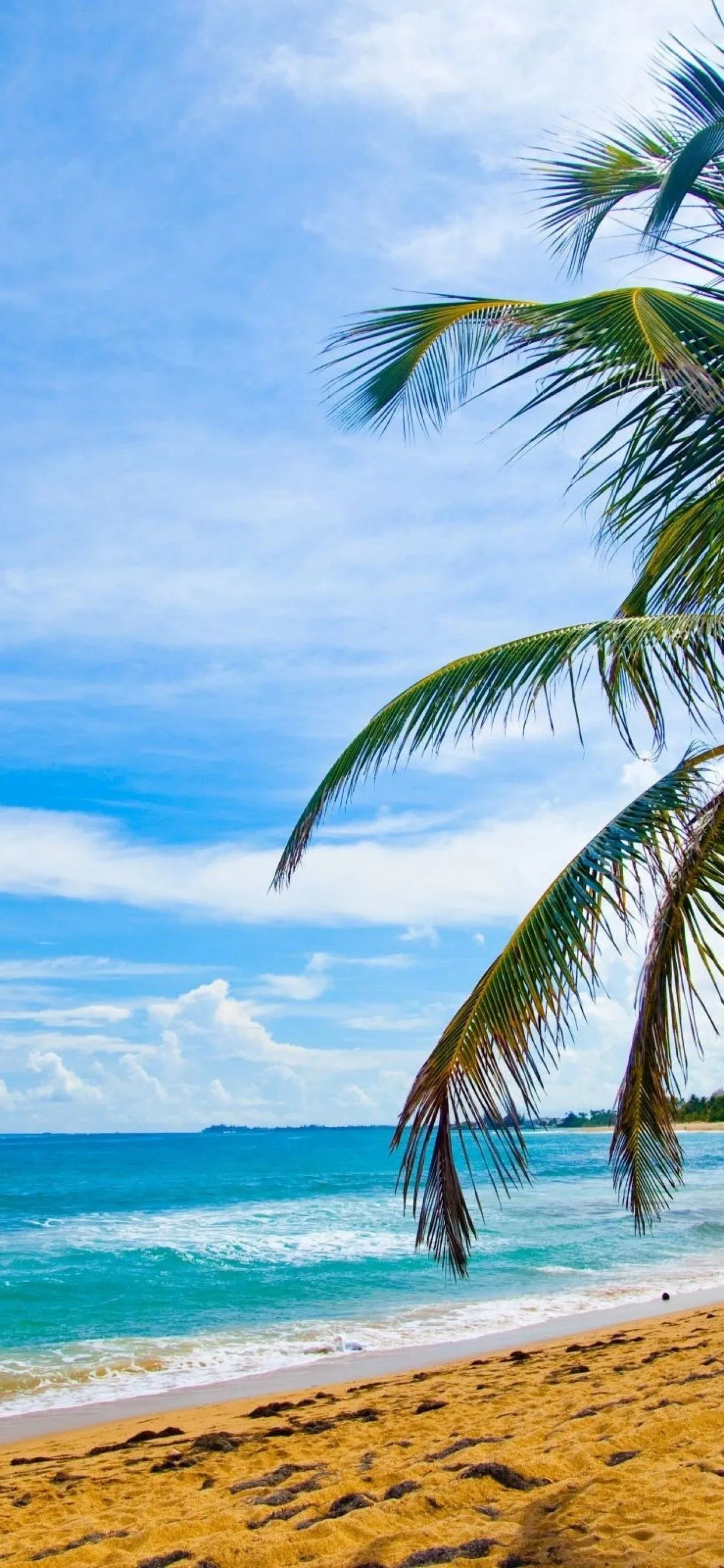 Culebra (Puerto Rico) Wallpaper