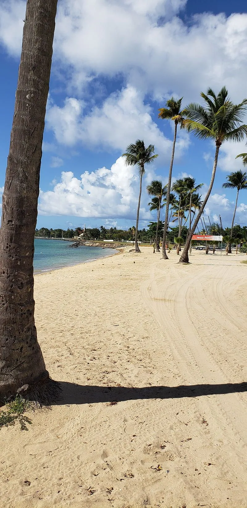 Puerto Rico, beach, HD phone wallpaper