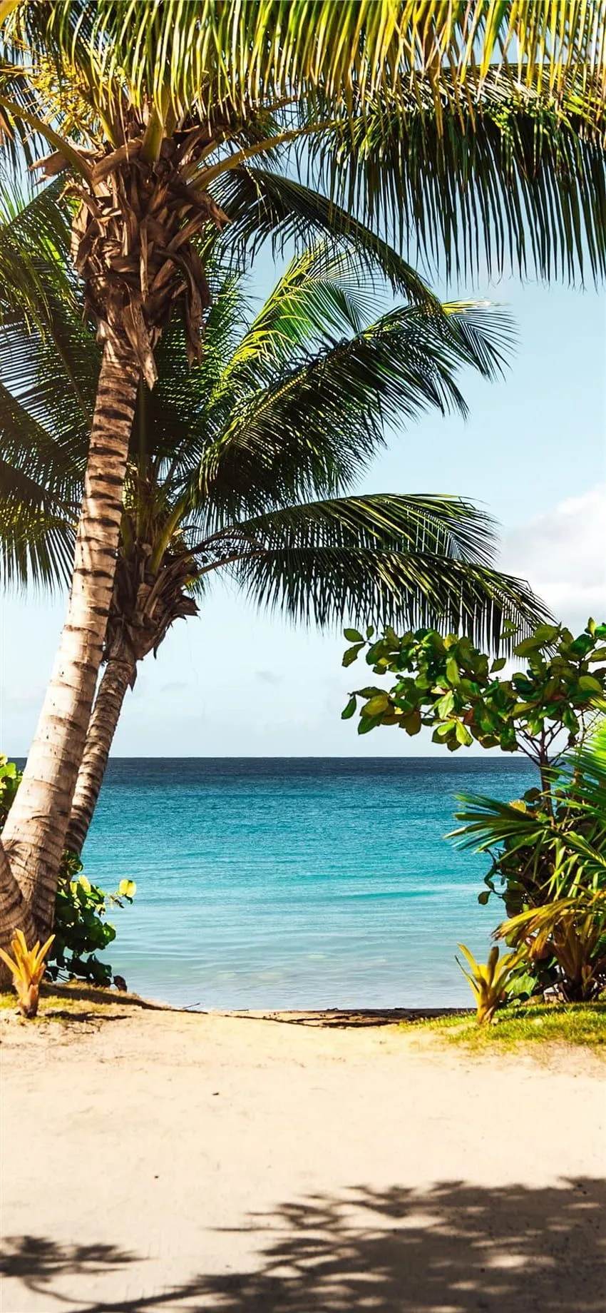 Best Puerto rico iPhone X [2020], Puerto Rican HD phone wallpaper