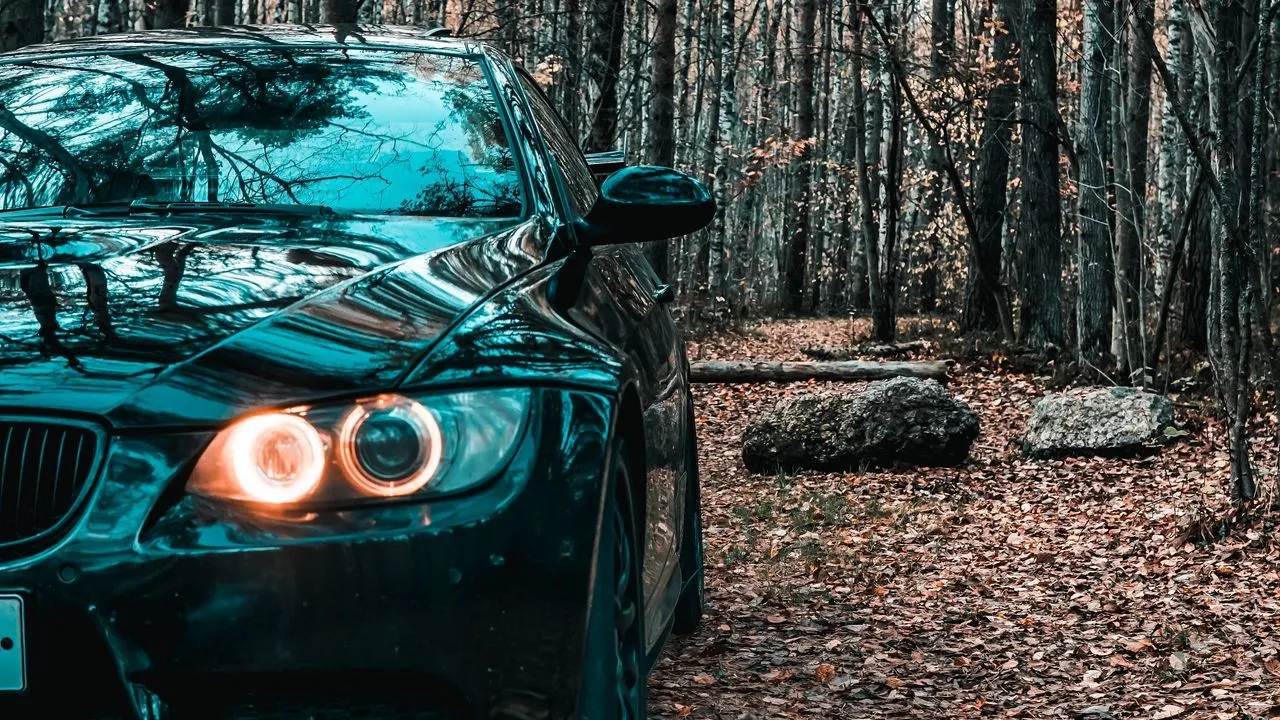 Wallpaper bmw, car, black, front view, forest hd, picture, image
