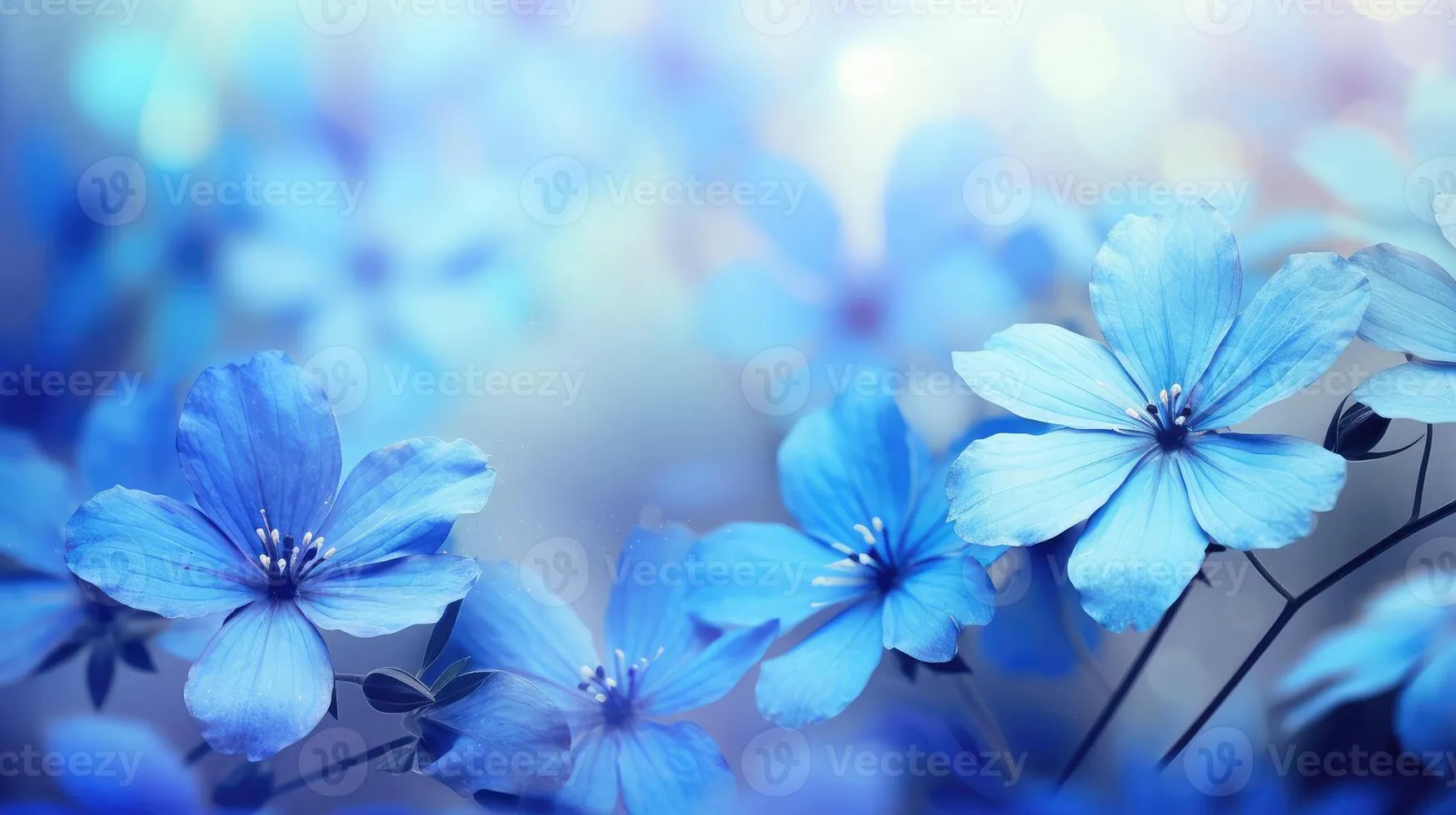 delicate blue floral background