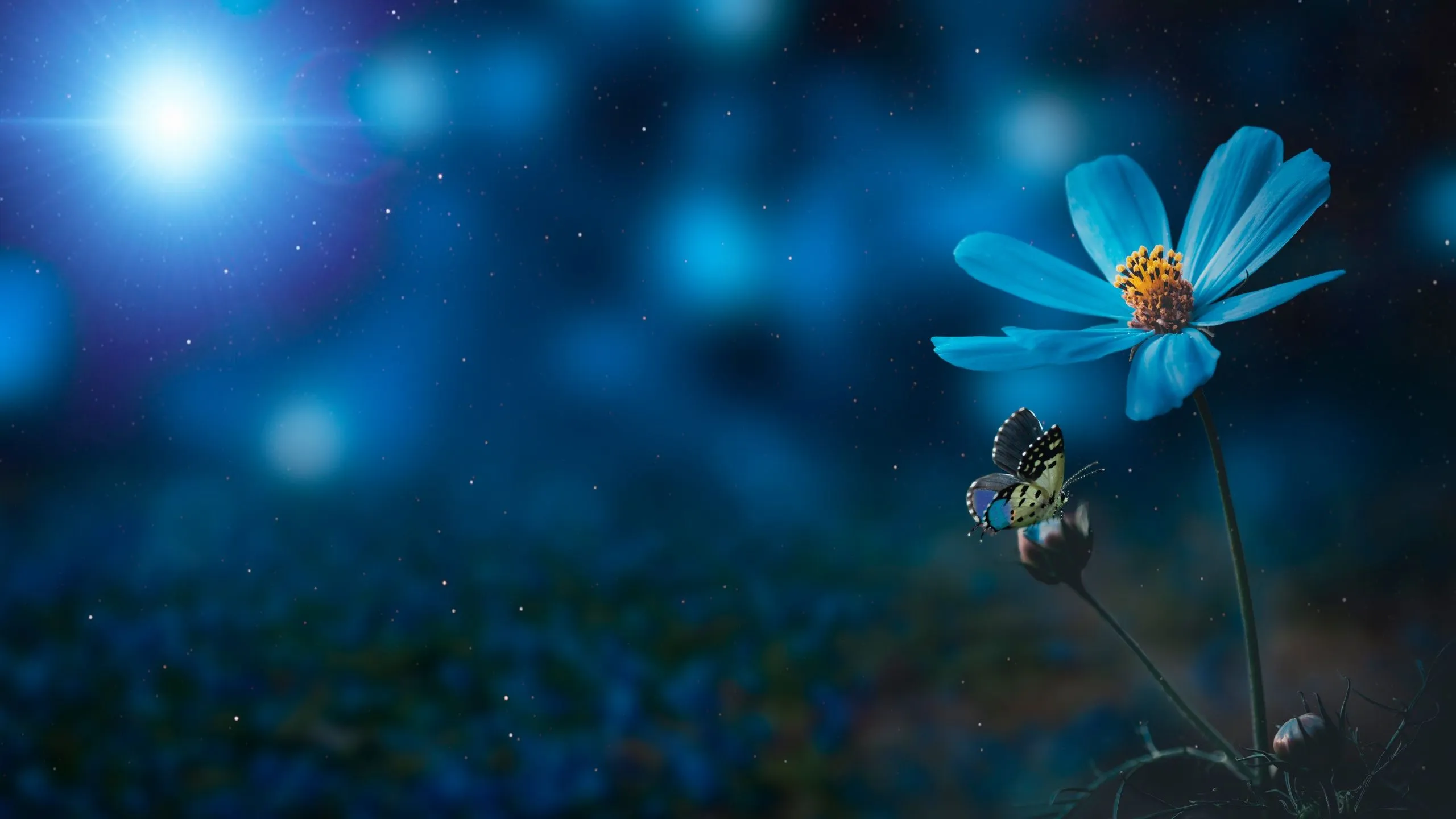 Blue flower Wallpaper 4K, Pollination, Butterfly, Bokeh