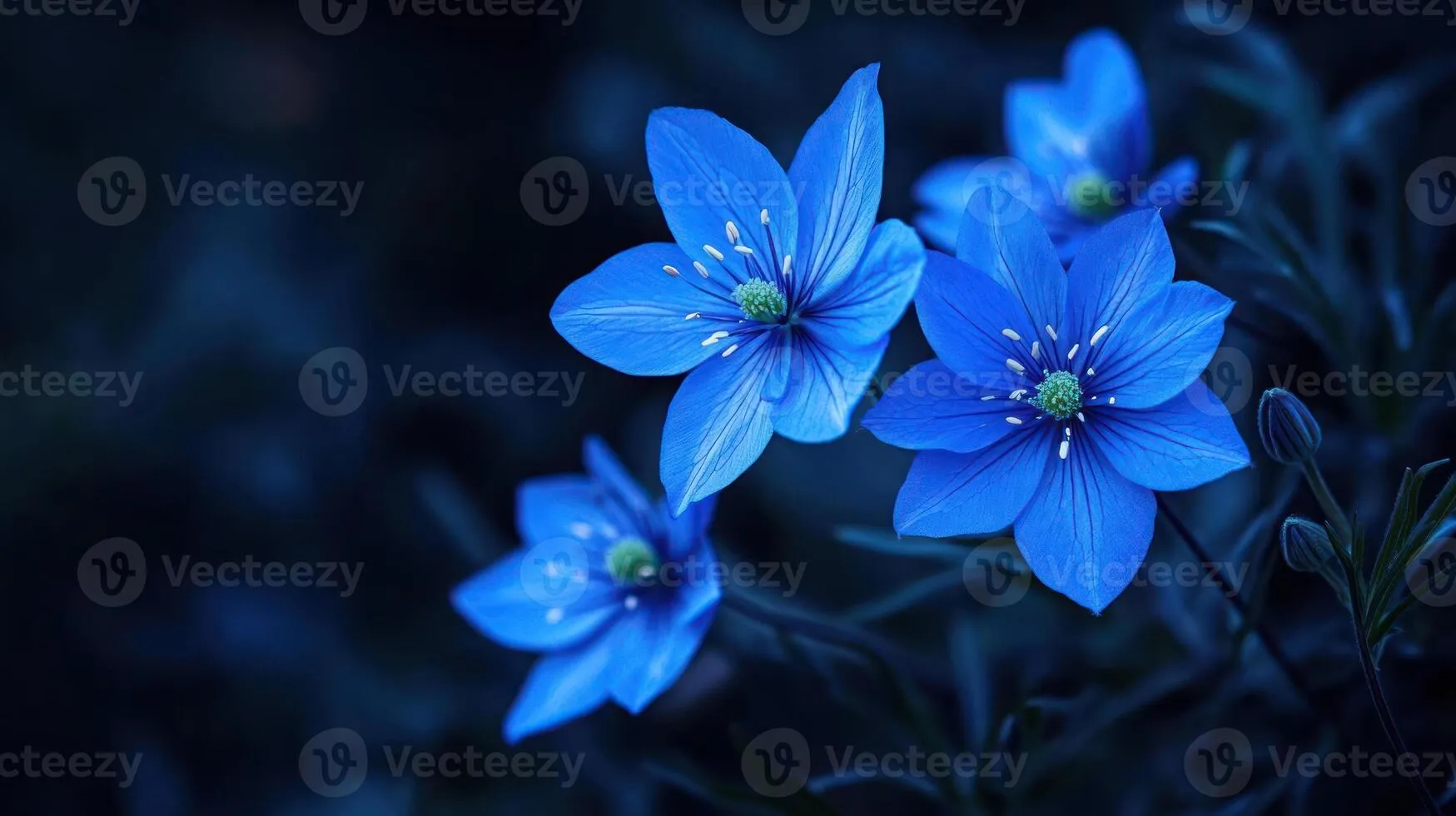 Blue flowers wallpaper HD wallpaper