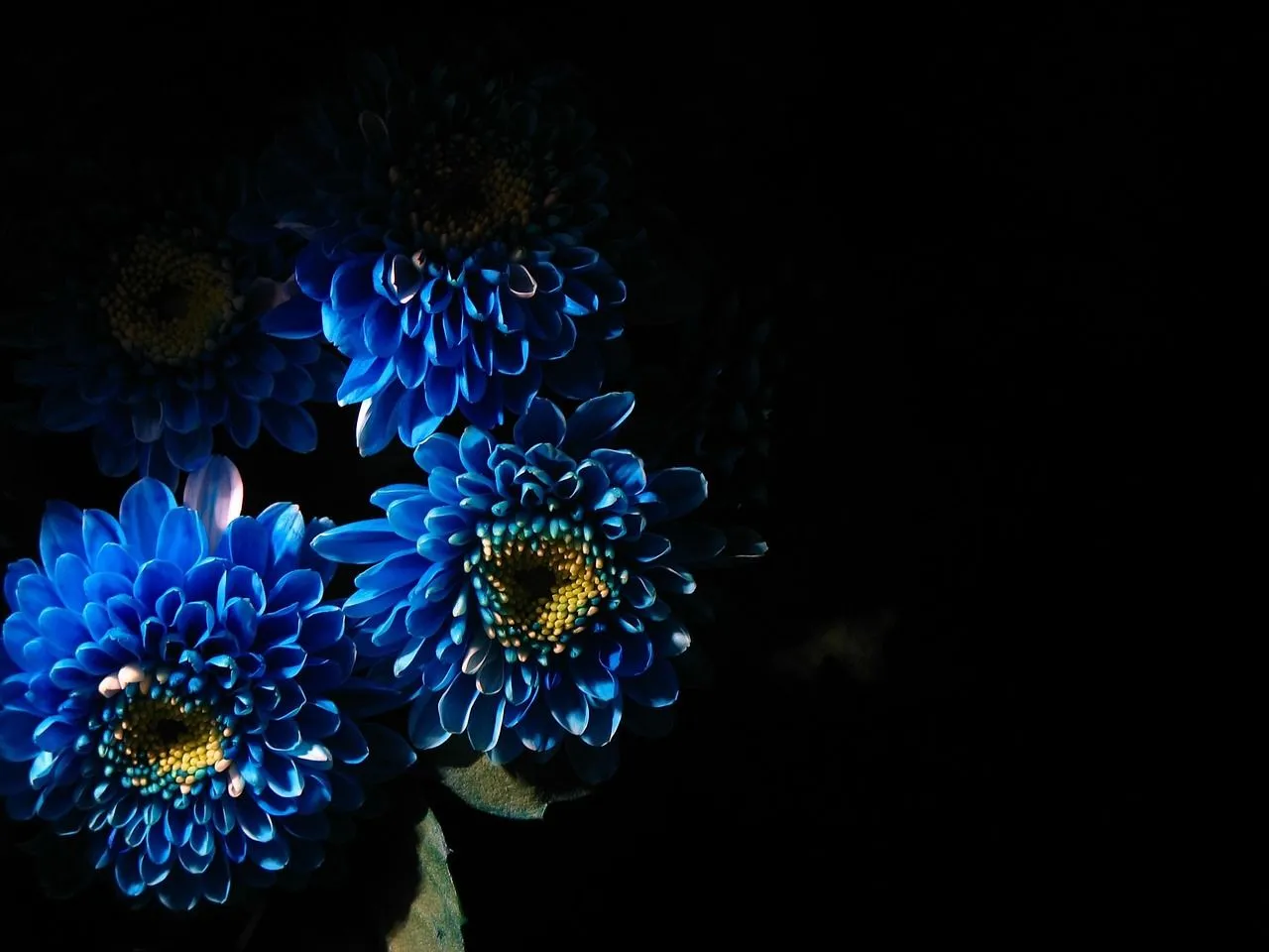 Blue Flowers Wallpaper