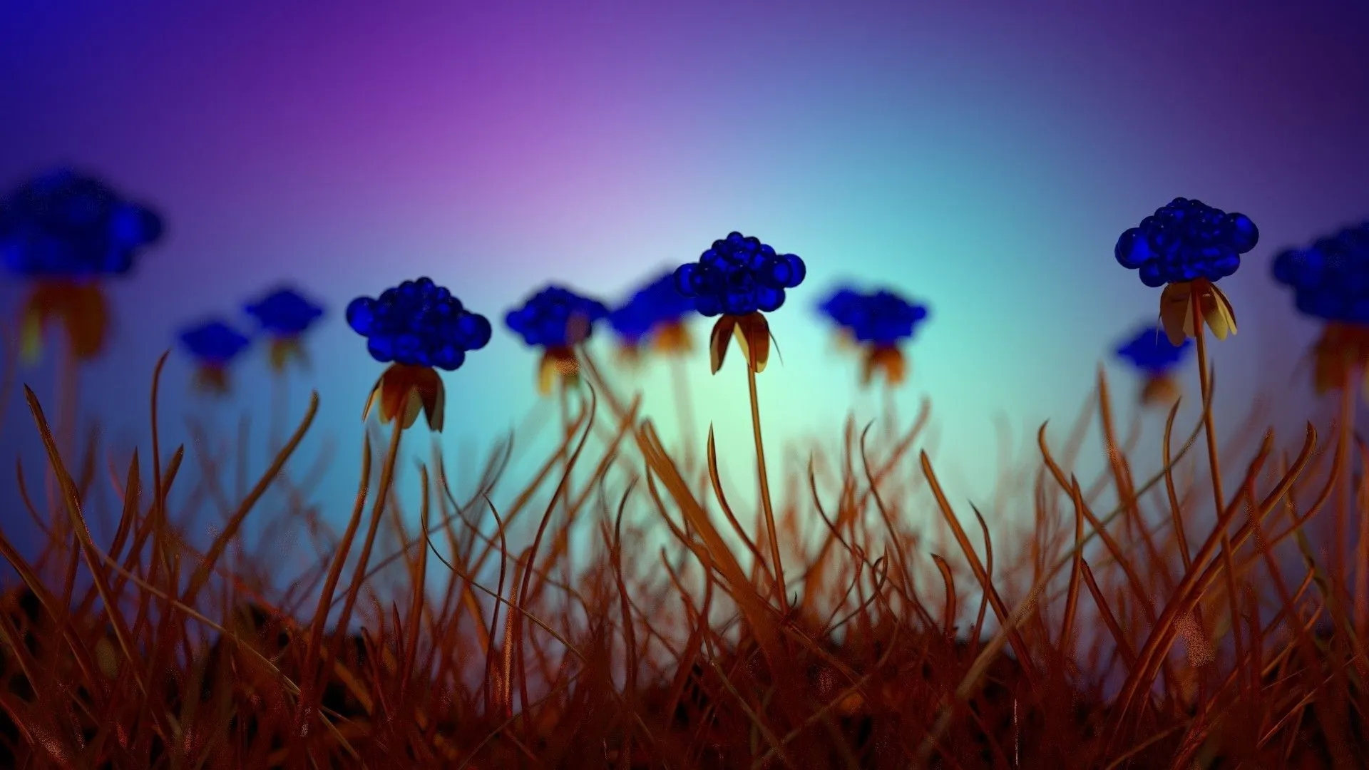 nature, Flowers, Field, Plants, Depth Of Field, Blue Flowers Wallpaper HD / Desktop and Mobile Background