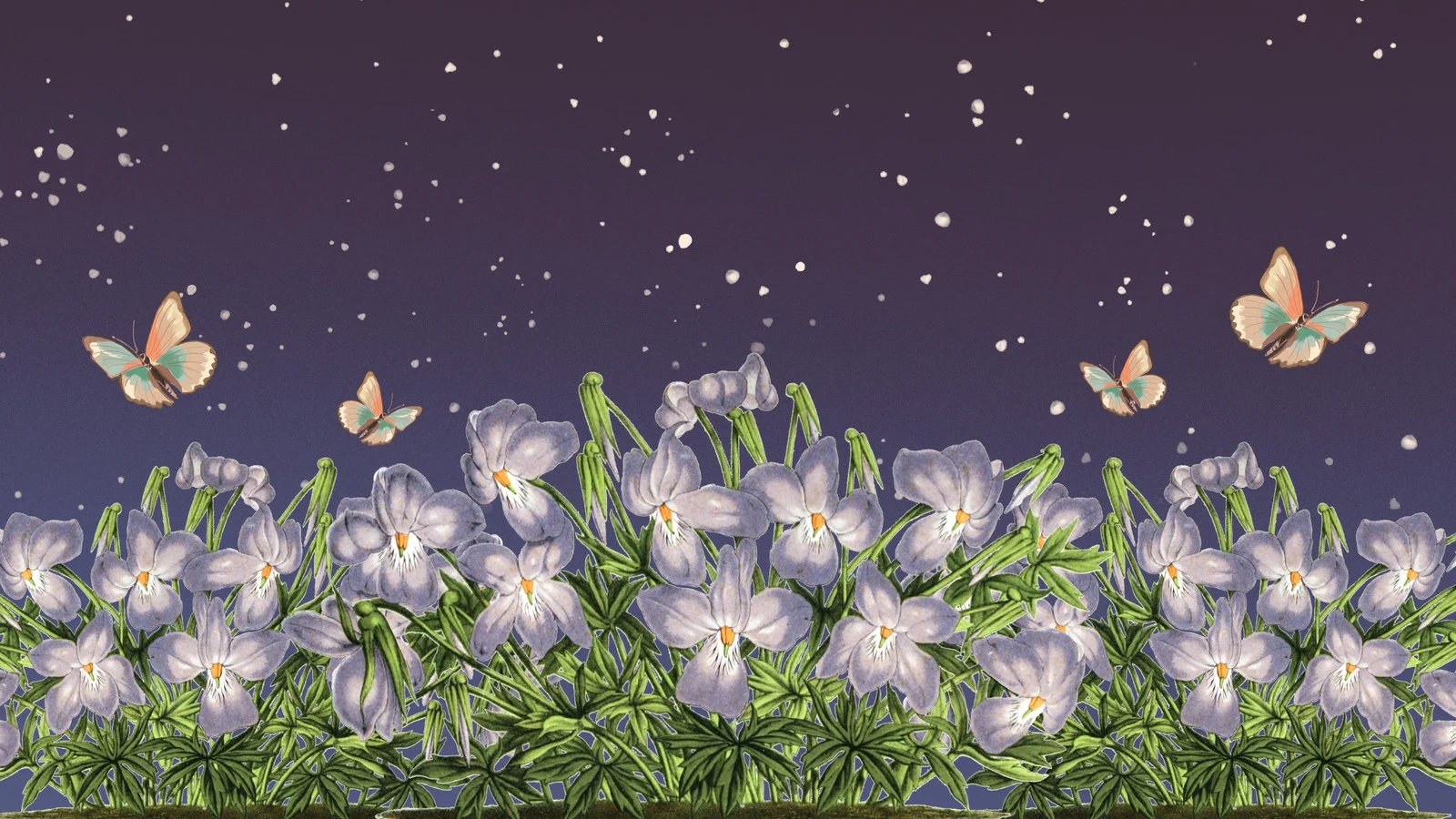 wallpaper purple