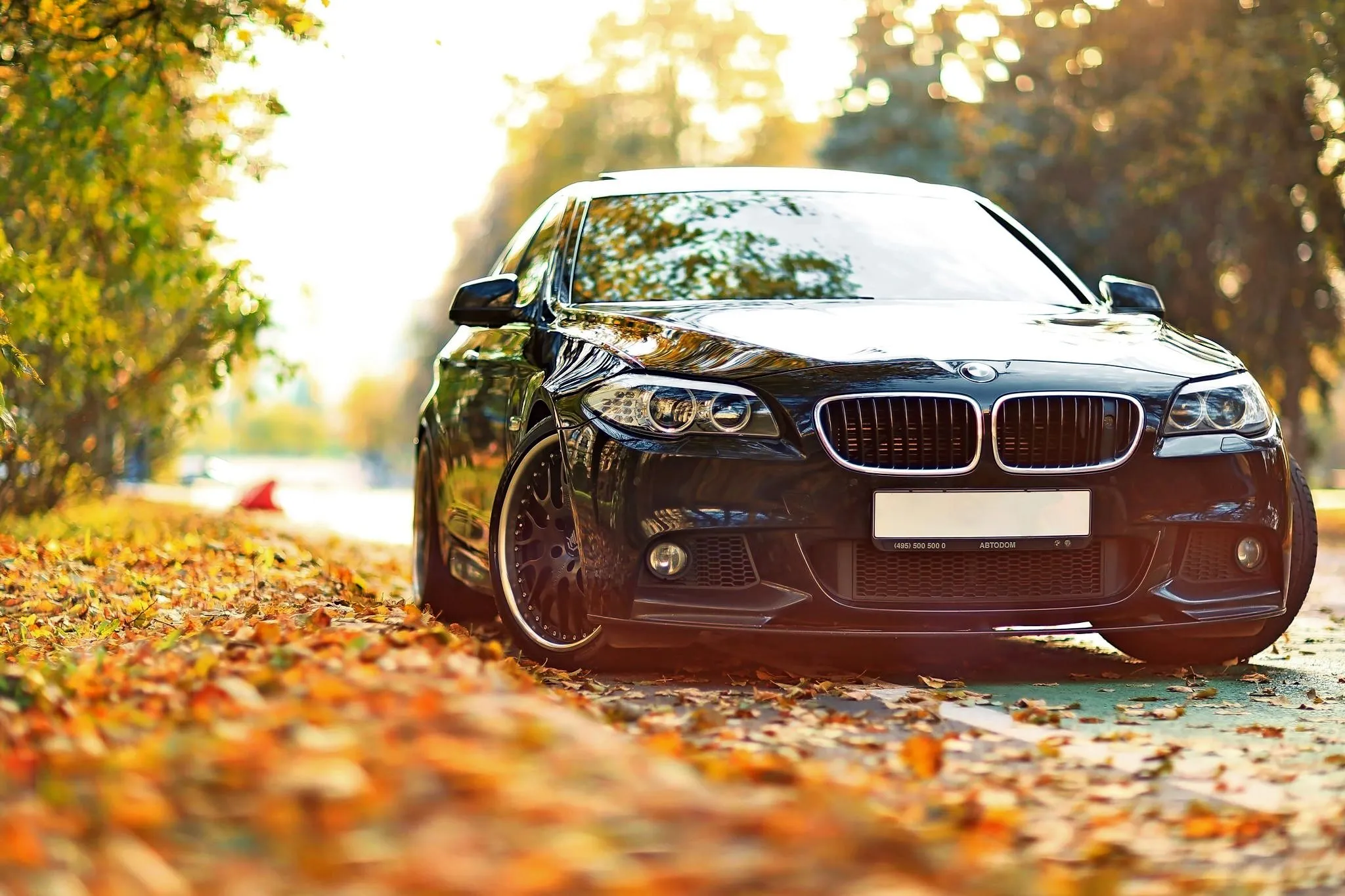 Wallpaper Black Bmw Car on Brown Leaves, Background Free Image