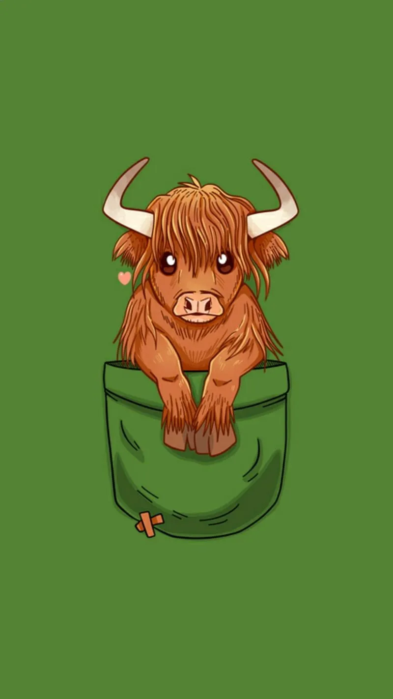HD moo cow wallpaper