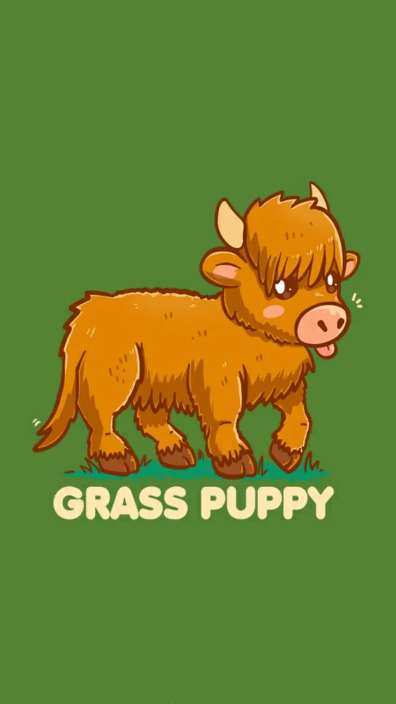 Highland cow, cute, HD phone wallpaper