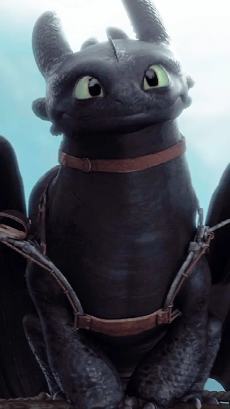 Toothless, dragon, httyd, HD phone wallpaper