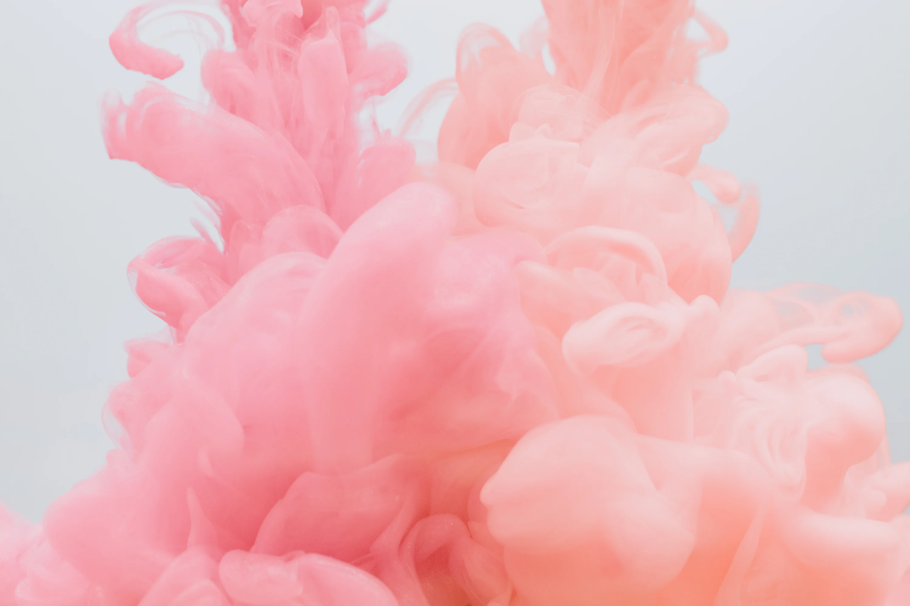 Pink Wallpaper: Free HD Download [4K]