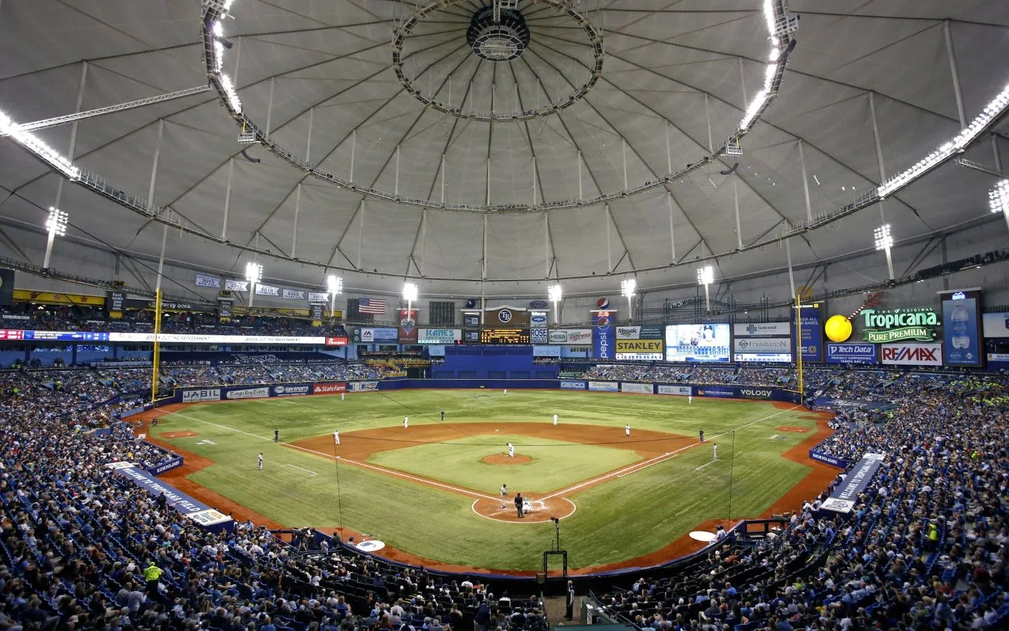Tampa Bay Rays