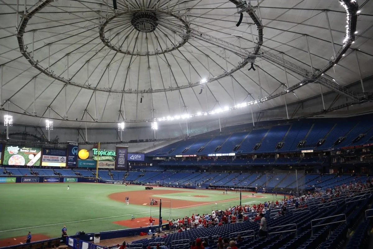 MLB Tampa Bay Rays Pro Baseball