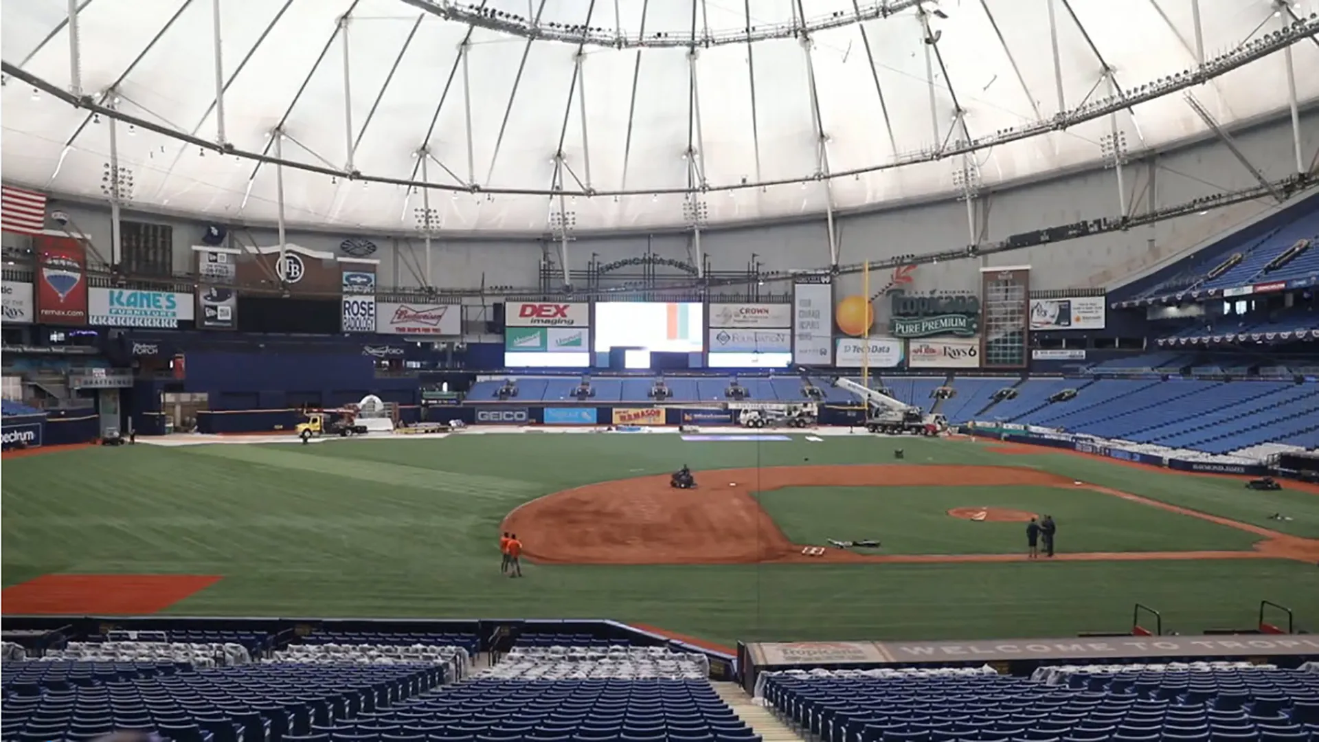 What's new at Tropicana Field this baseball season?
