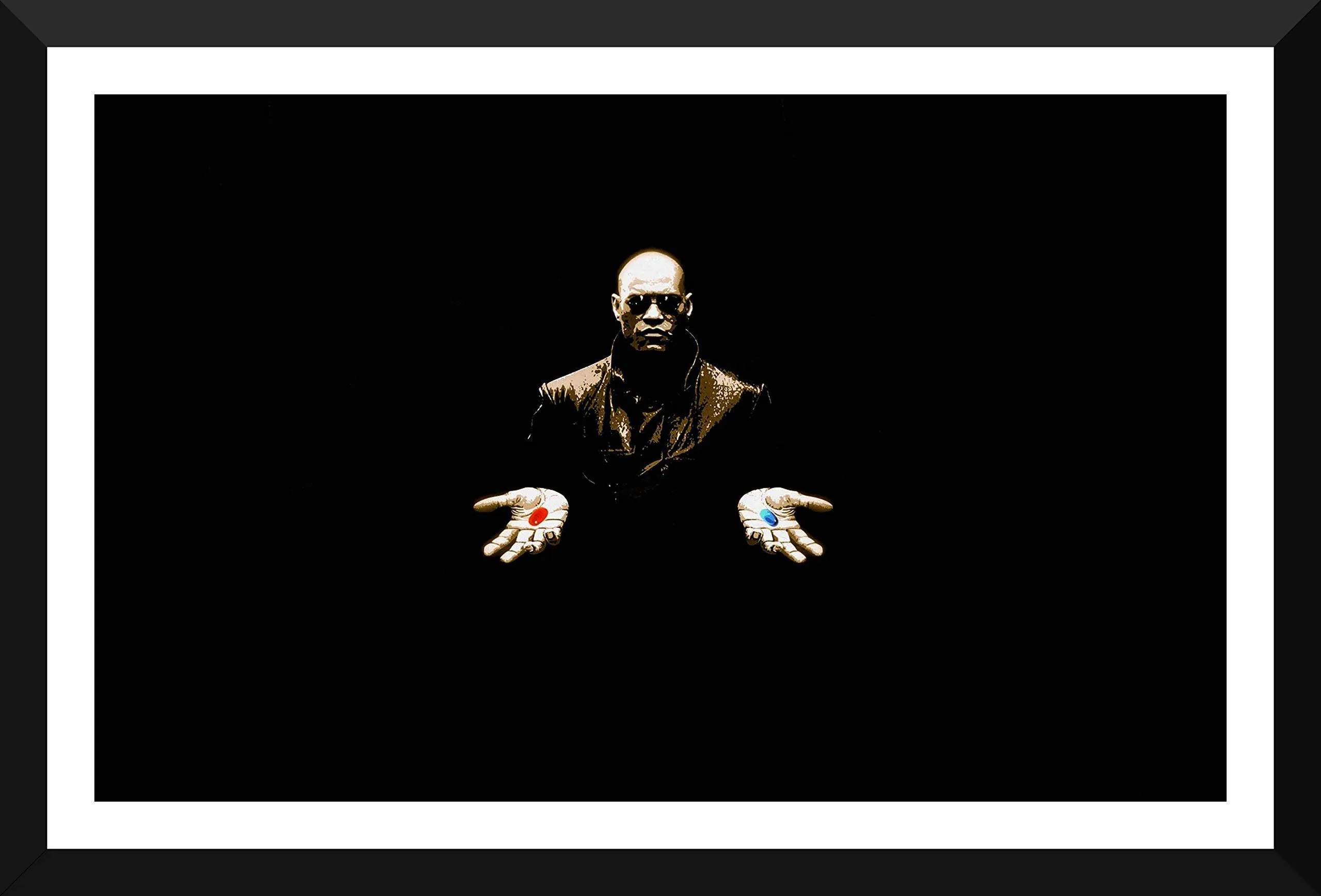 Tallenge Collection Matrix Red Pill Or Blue Pill To Hang Framed Poster (12 inches x 17 inches), Amazon.in: Home & Kitchen