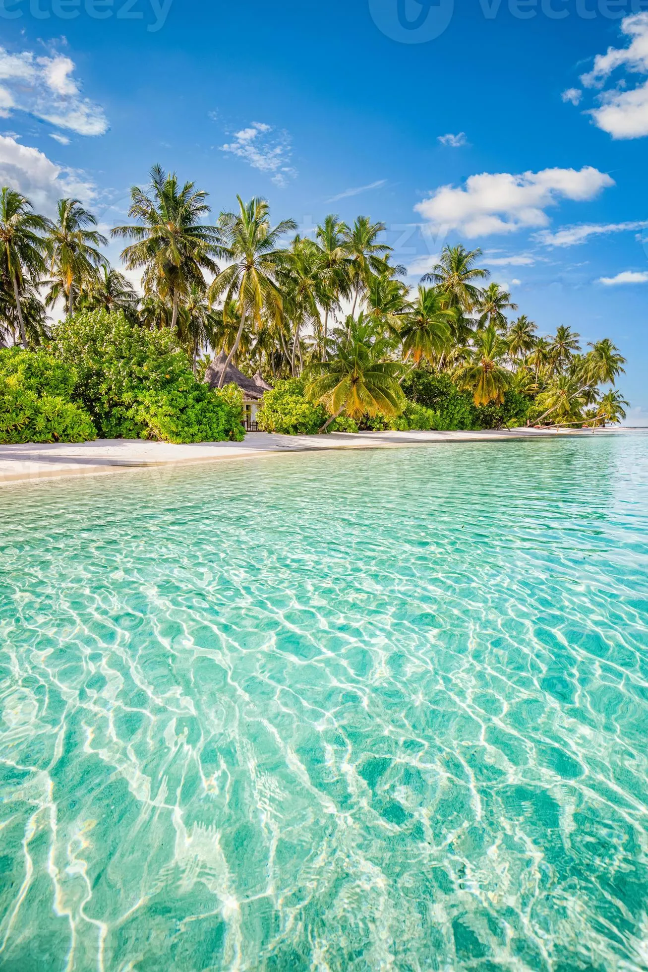 Beautiful tropical beach, calm turquoise sea lagoon white sand, palm trees, against blue sky with clouds on sunny summer day. Perfect landscape background for relaxing vacation, island of Maldives. 8159435